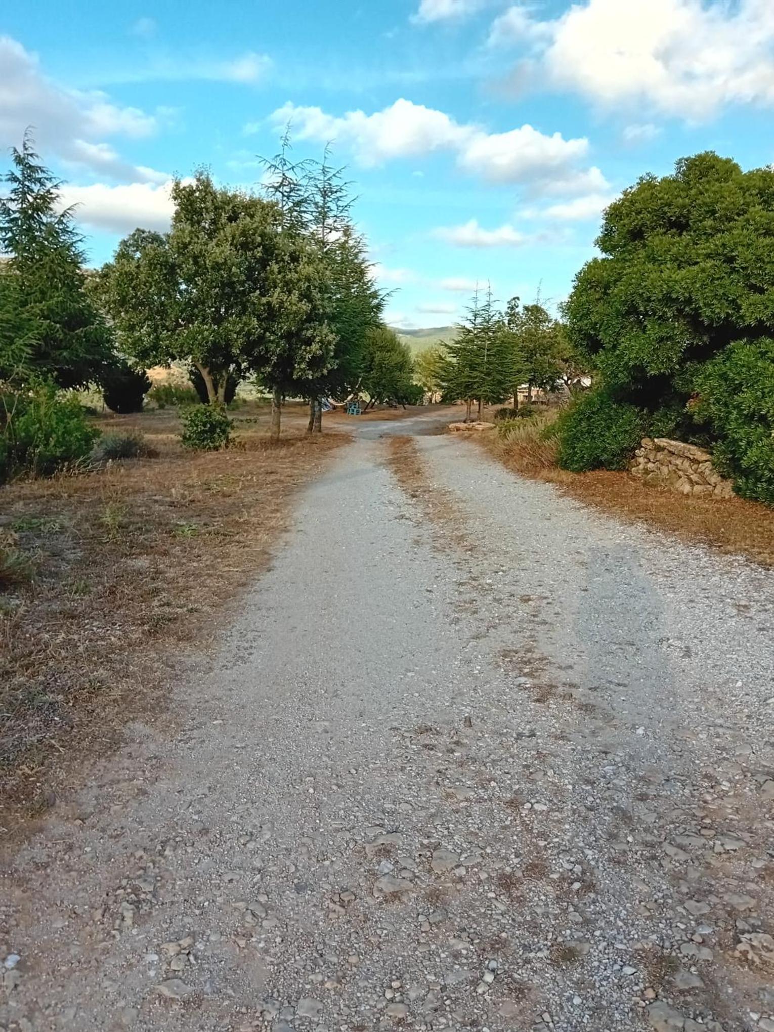 Lugori