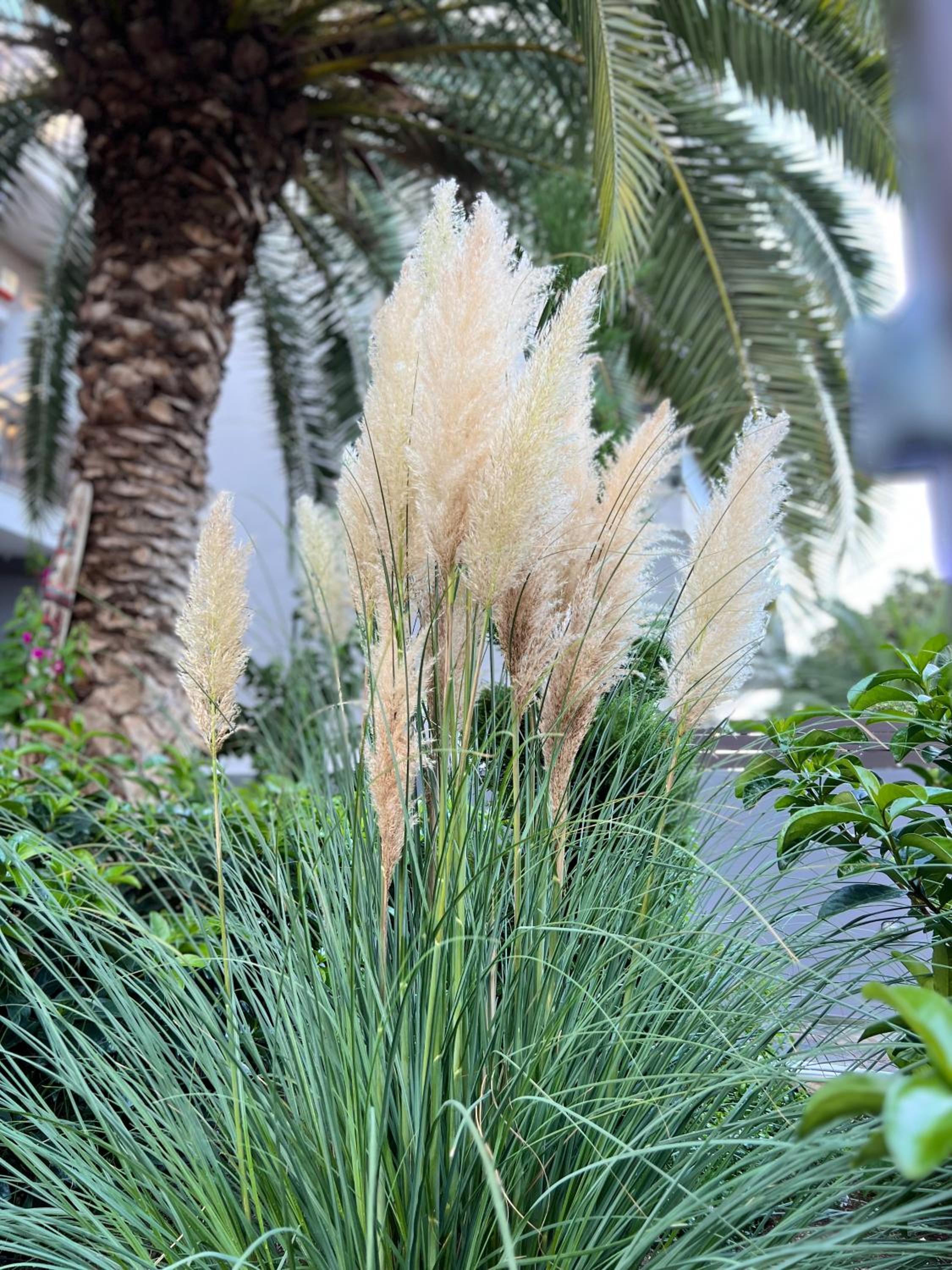 Phoenix Garden Apartments I