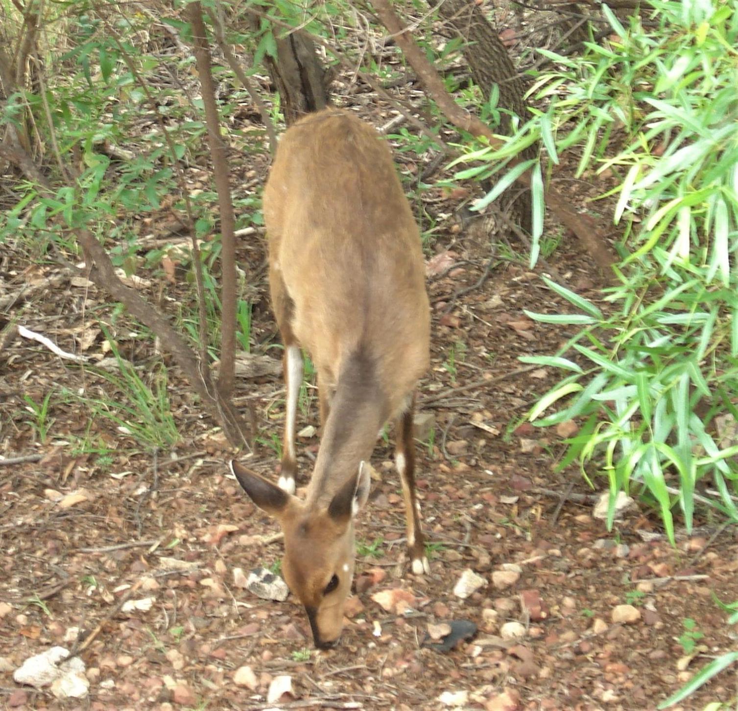 Photo 22