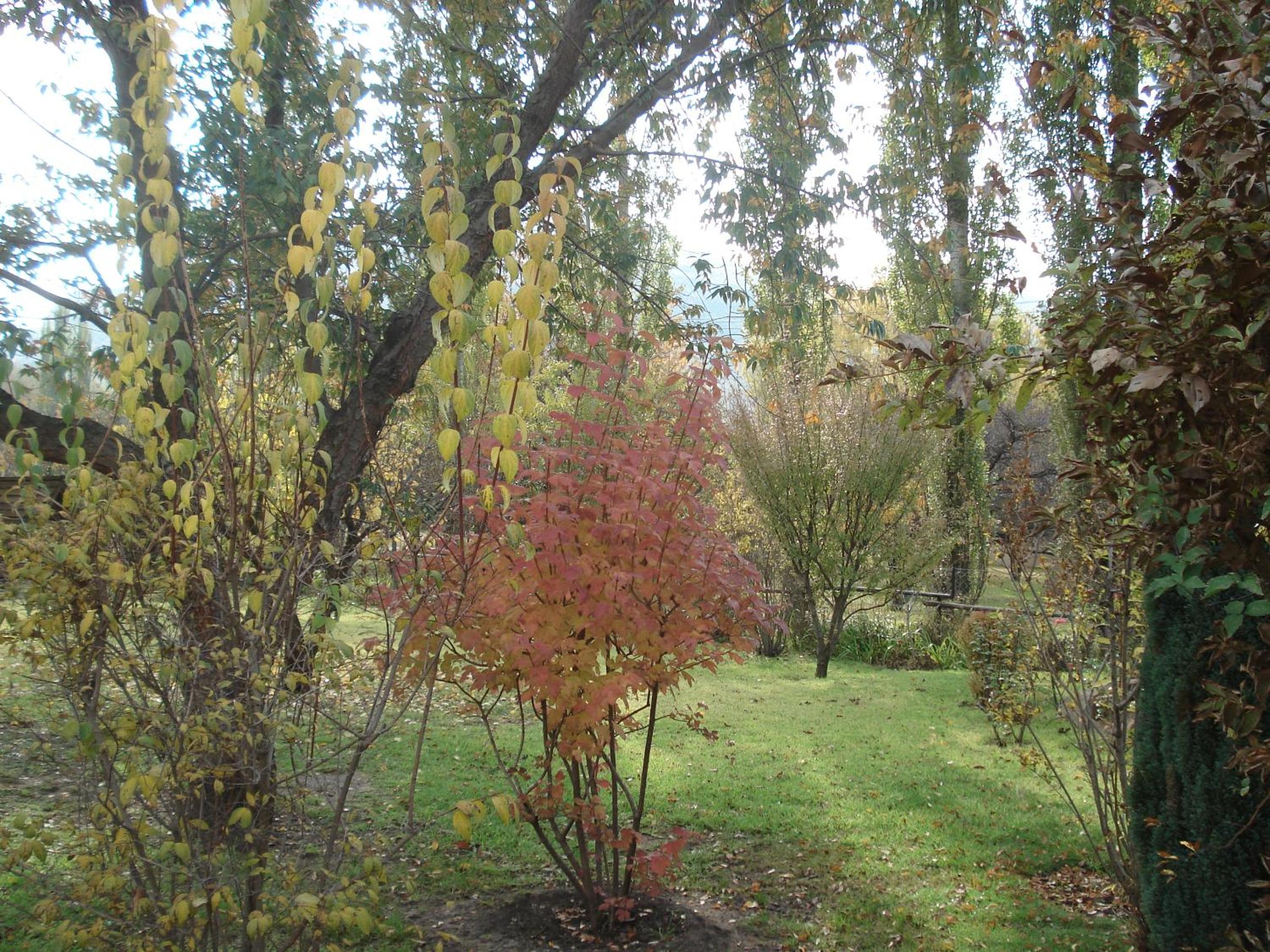 Photo 27