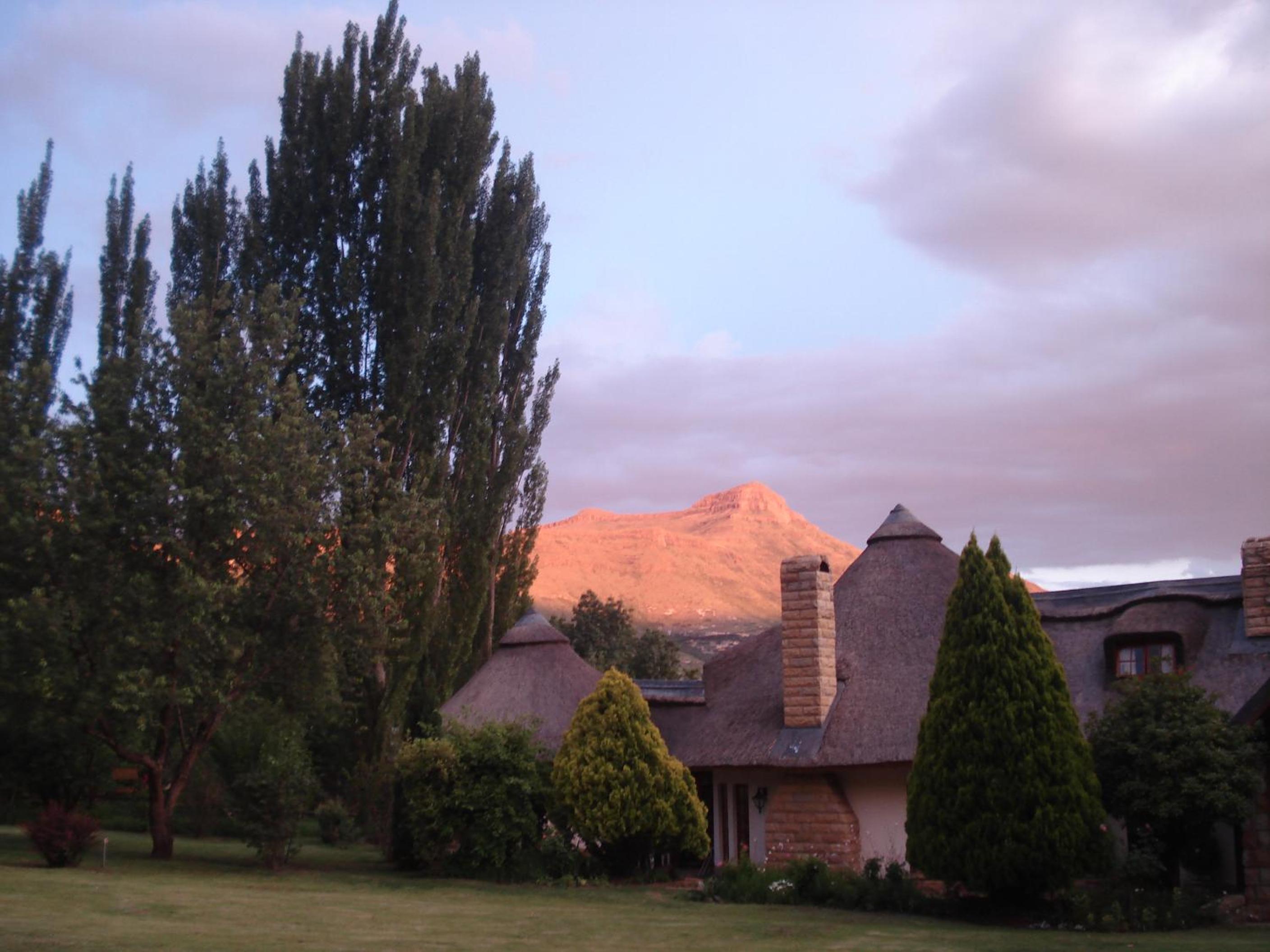 Photo 28
