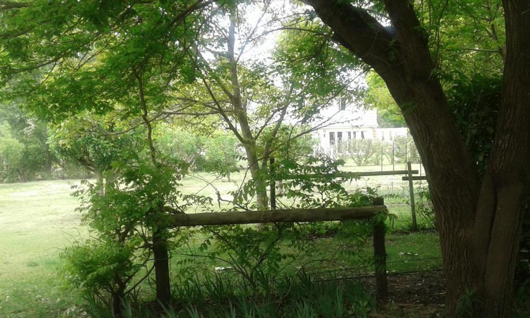 Collie Cottage