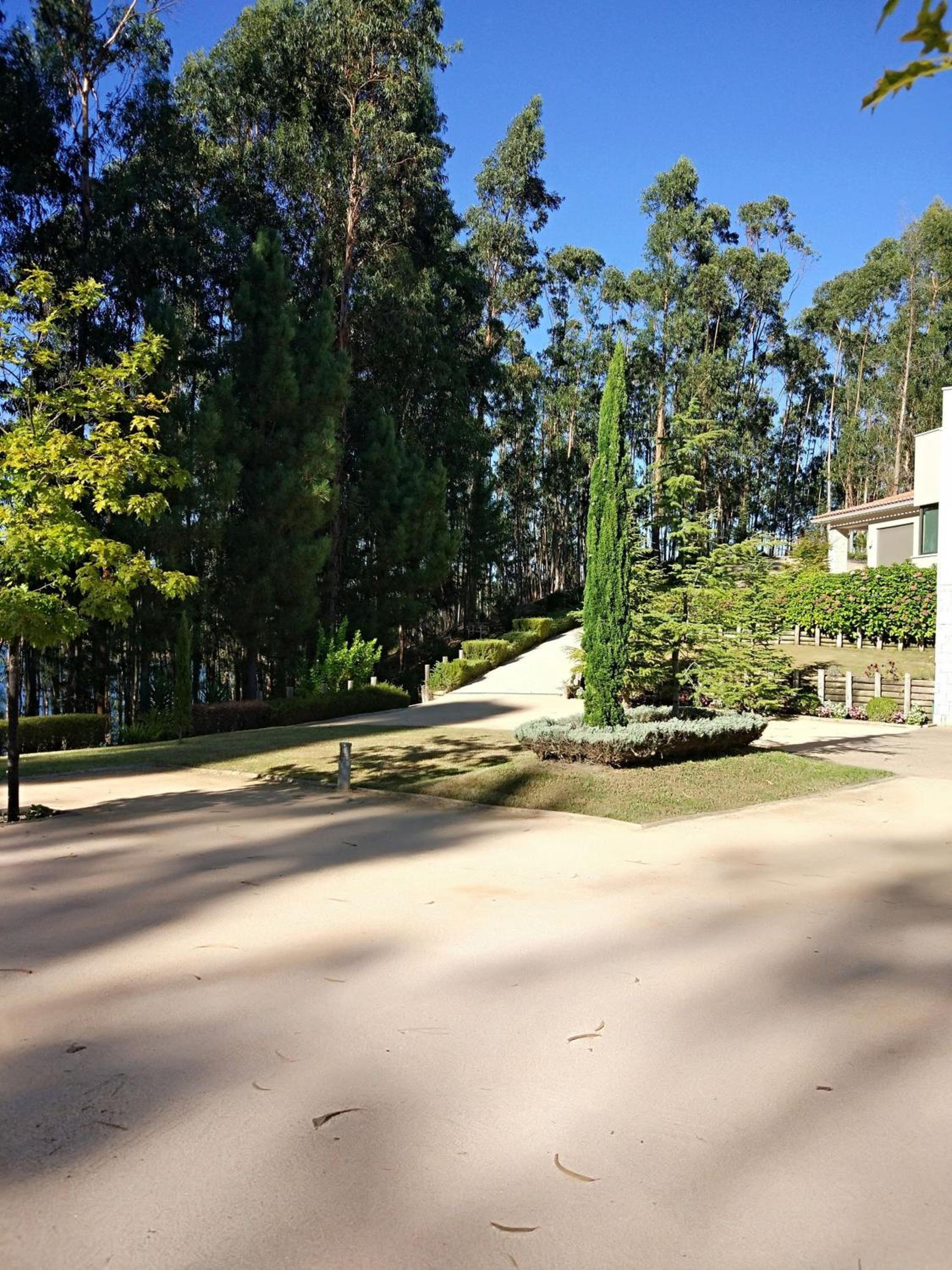 Photo 42
