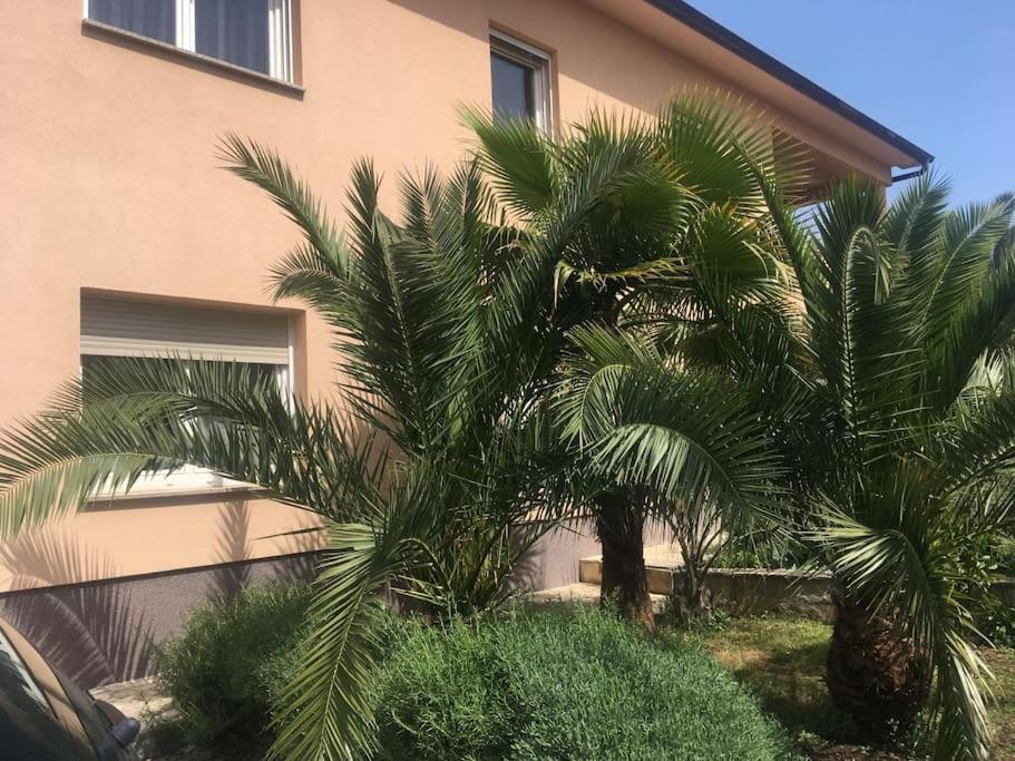 Blue Palm Apartment, Ika-Opatija