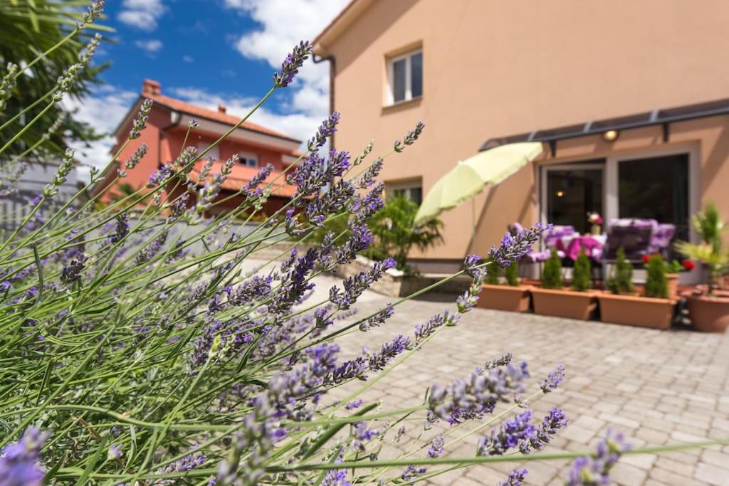 Blue Palm Apartment, Ika-Opatija