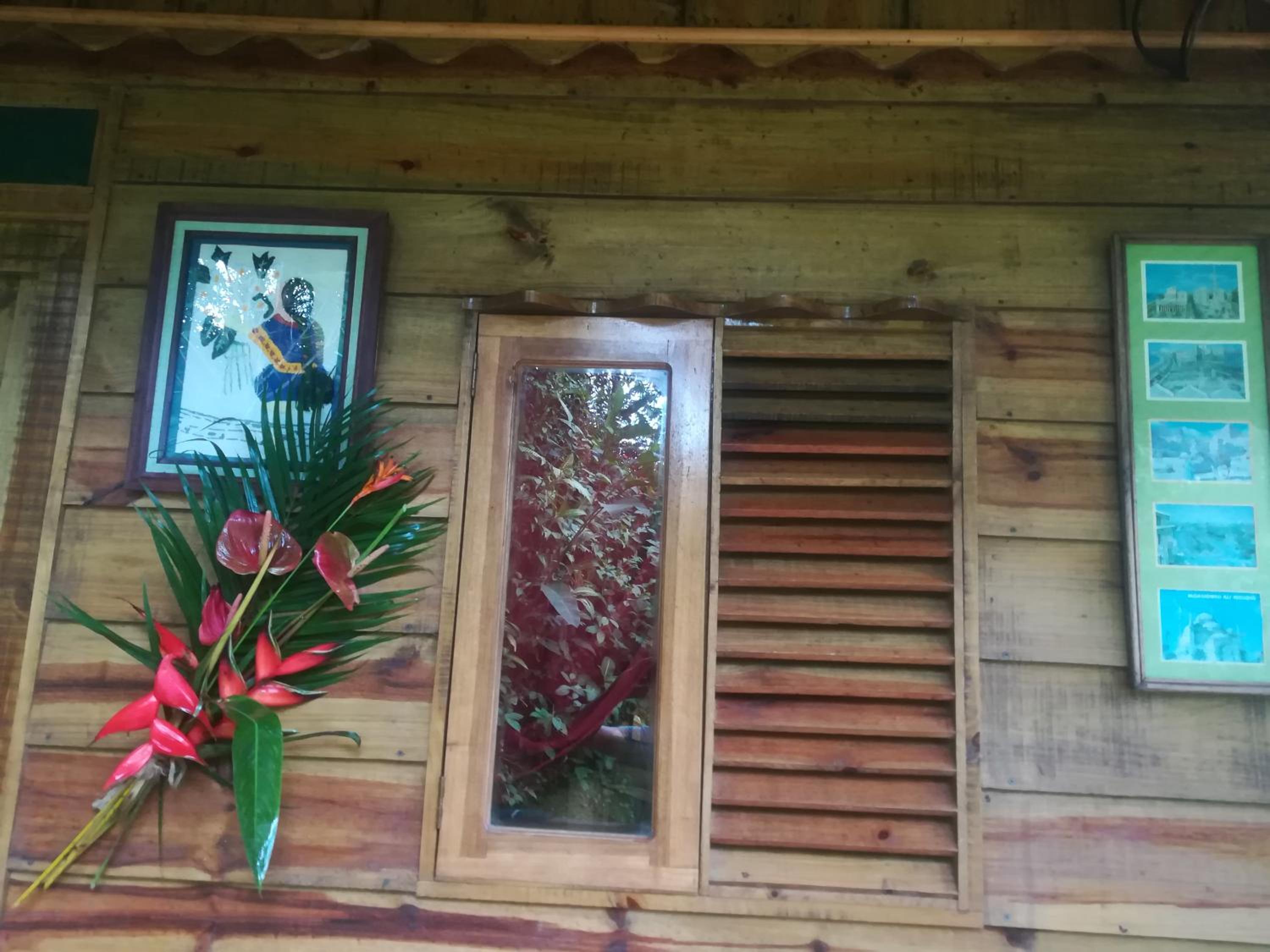 Corredores del Pacuare view 4