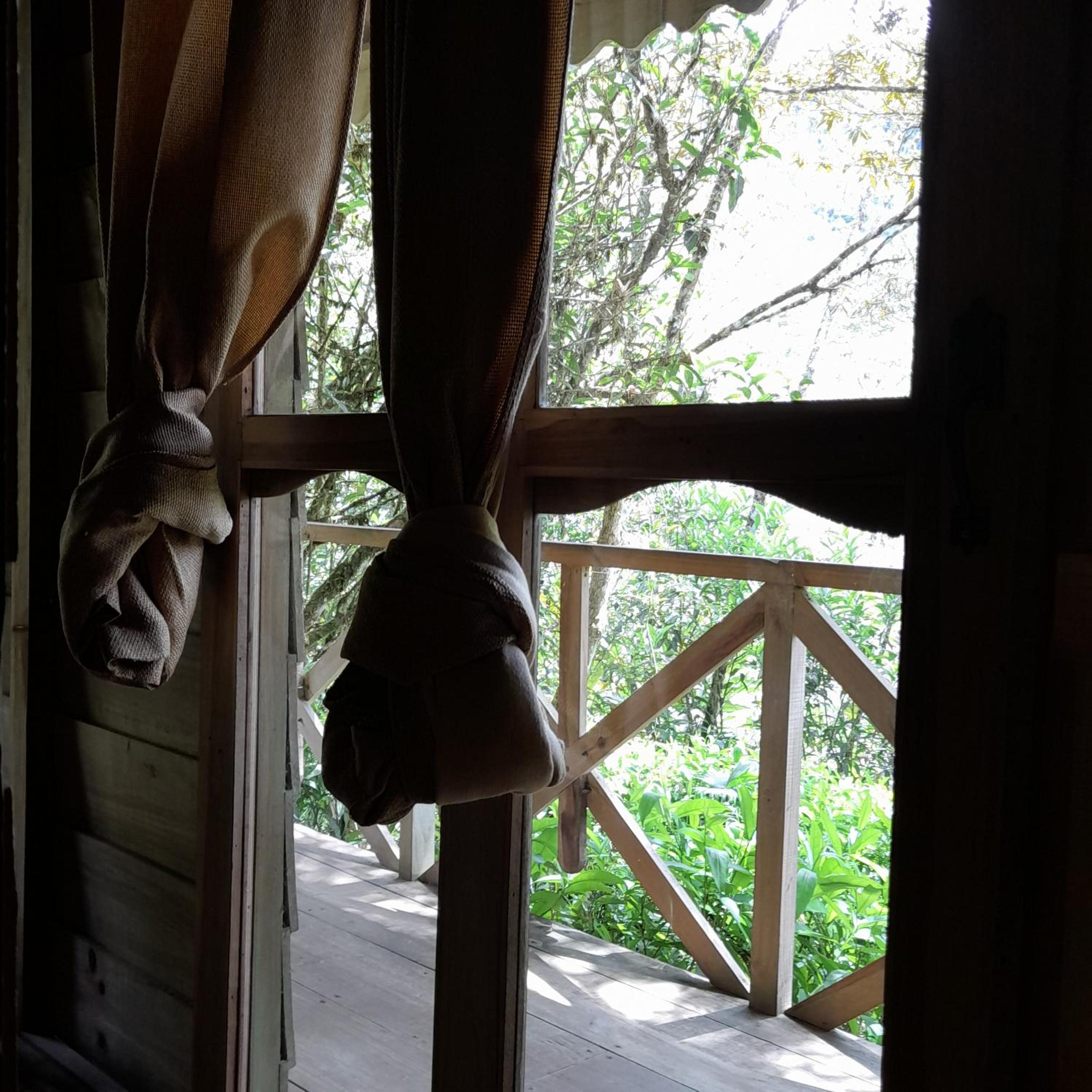 Corredores del Pacuare view 3