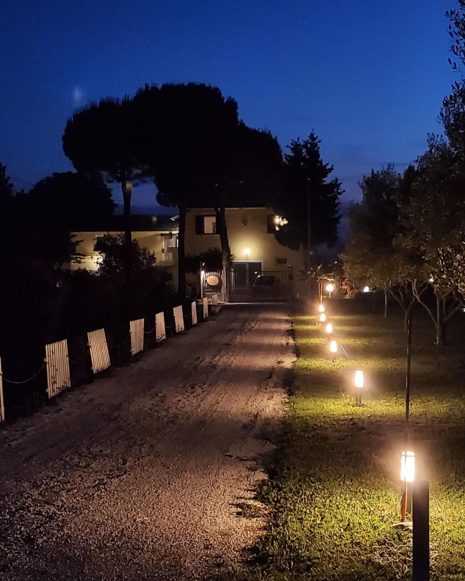 CaSAle