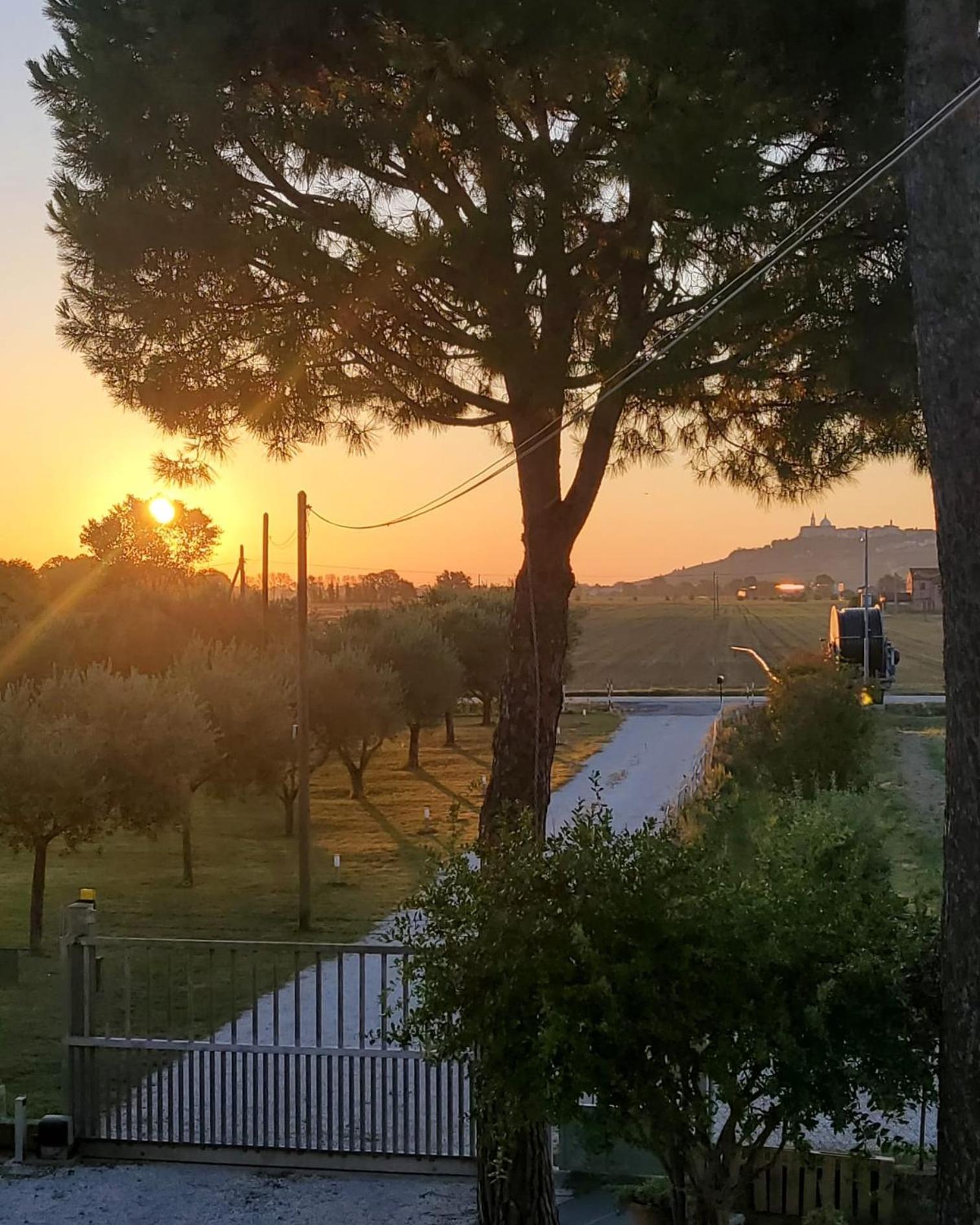 CaSAle