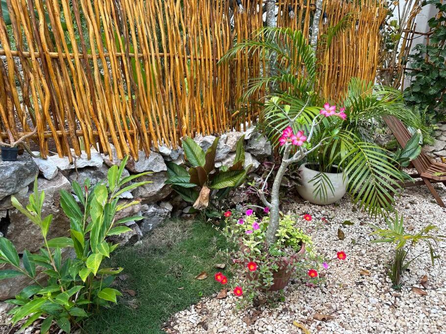 Photo 23