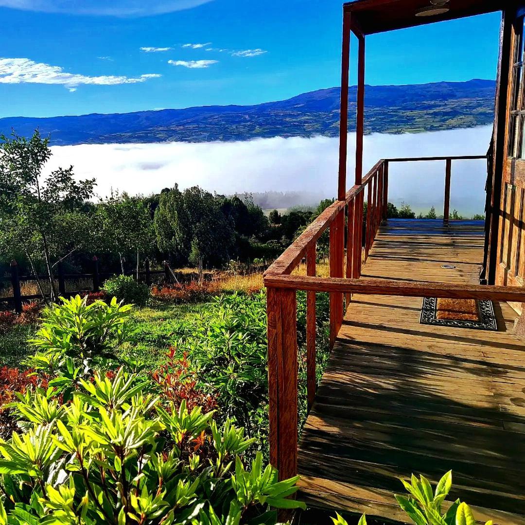 La mirla glamping