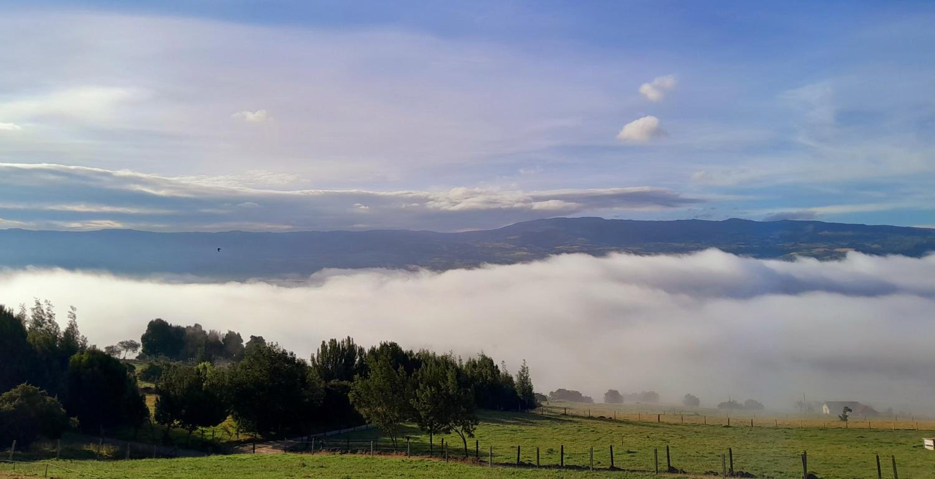 La mirla glamping