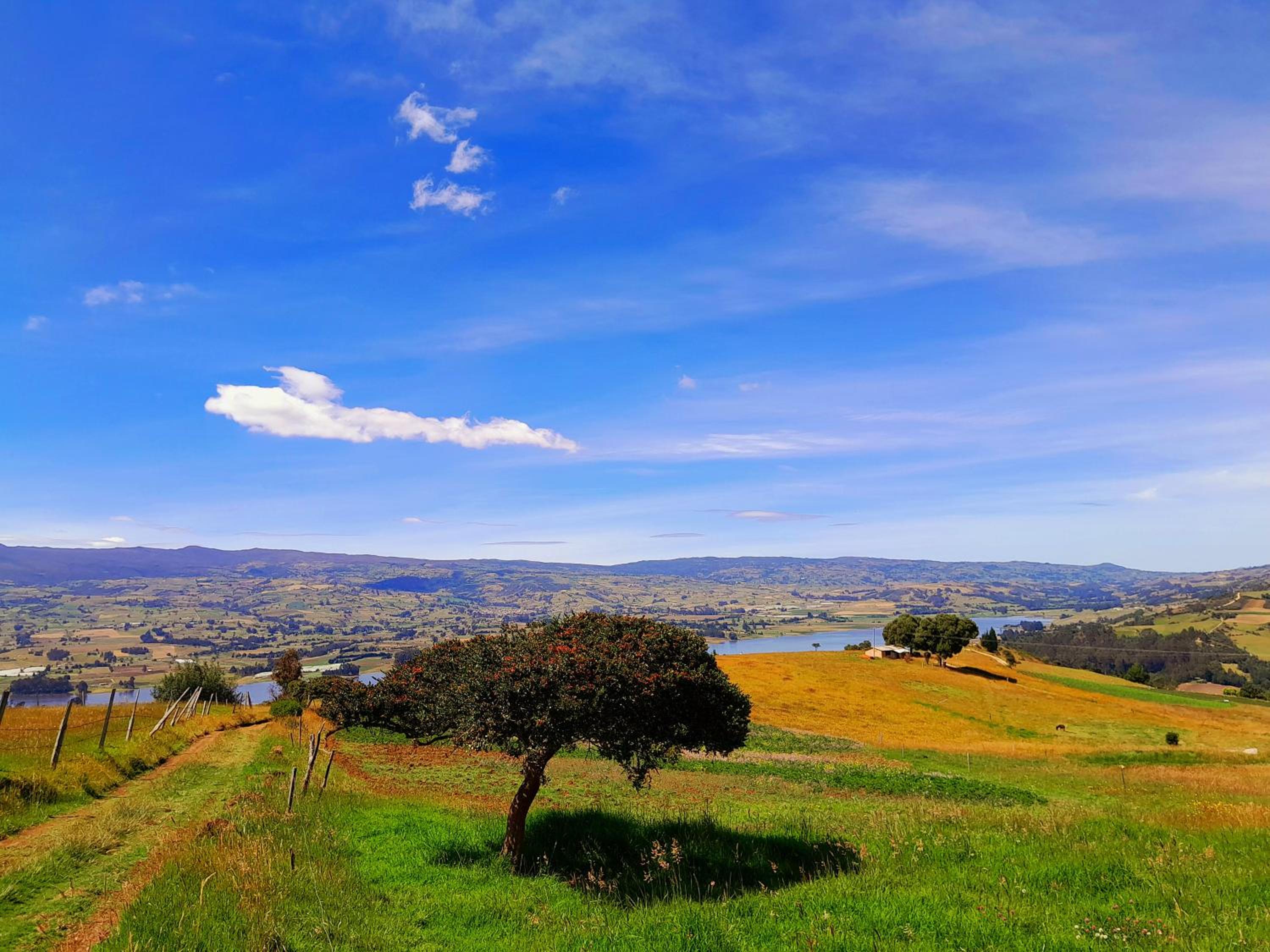 La mirla glamping