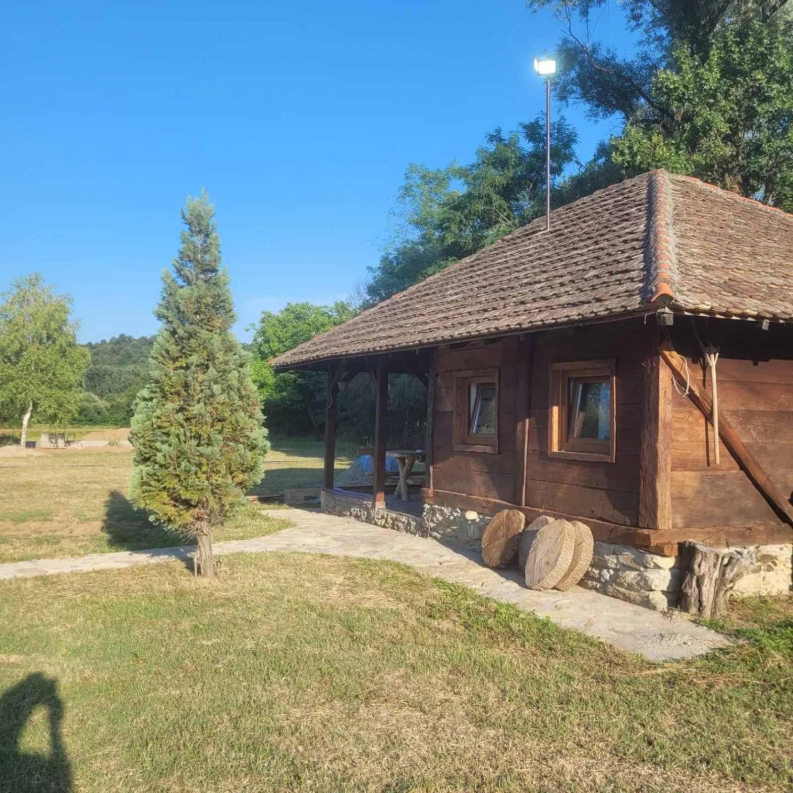 Vajat Vasiljević