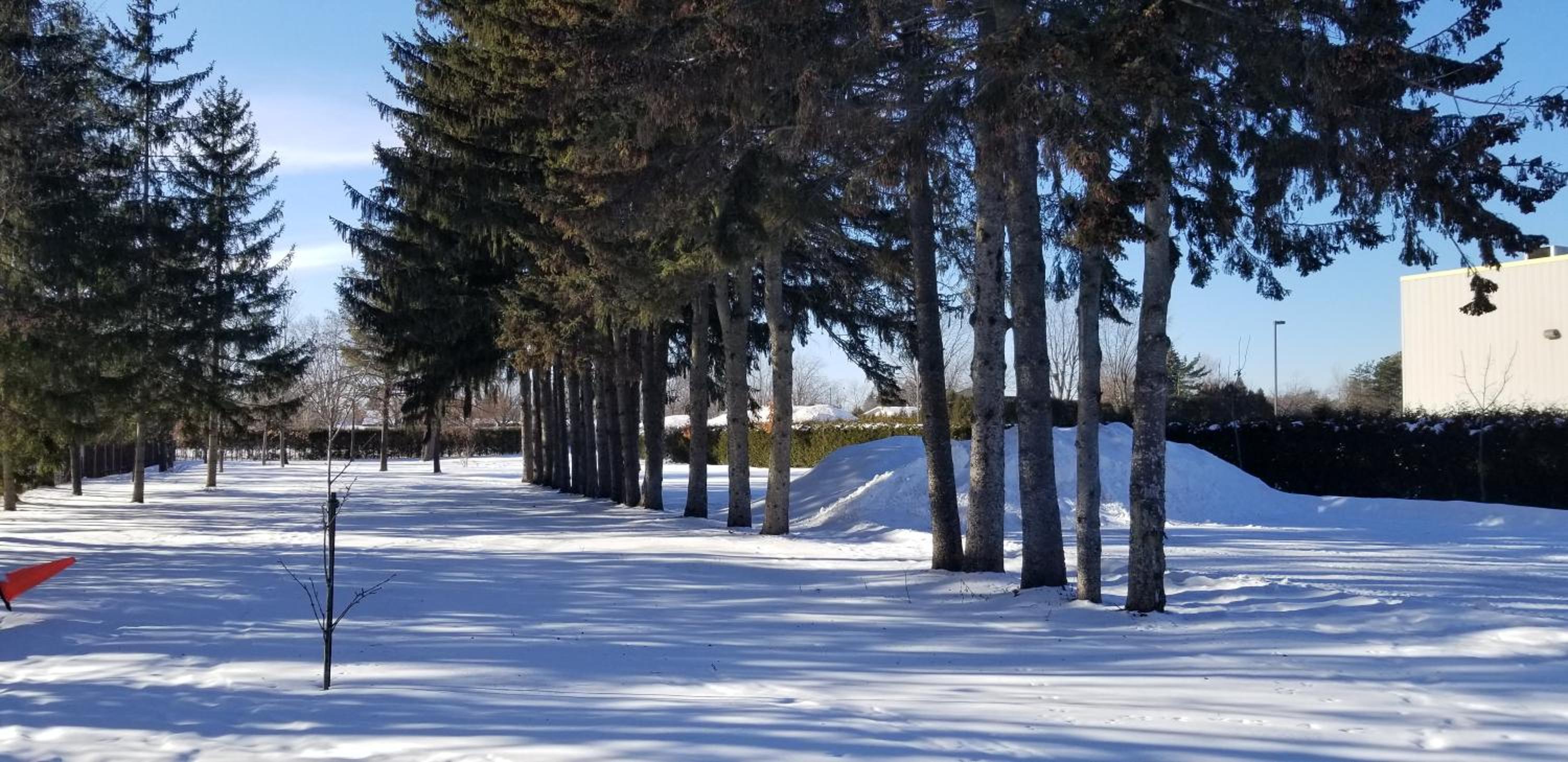 Trois-rivieres Vacations - Maisonnette dans la nature en pleine ville. - Property Image 26