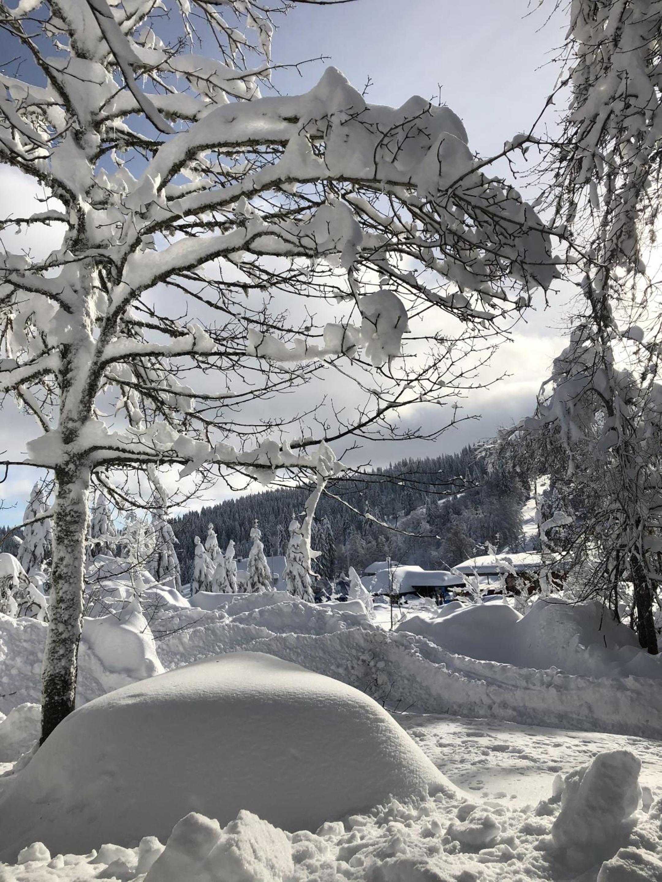 Schwarzwaldhimmel en Feldberg