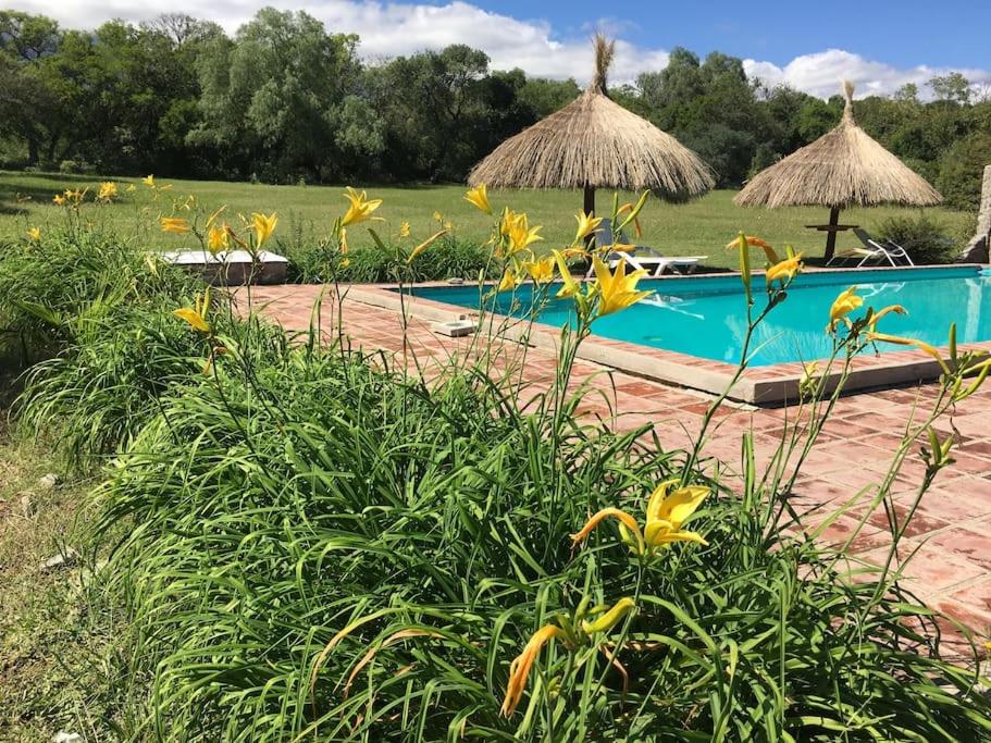 La Casita en La Juni