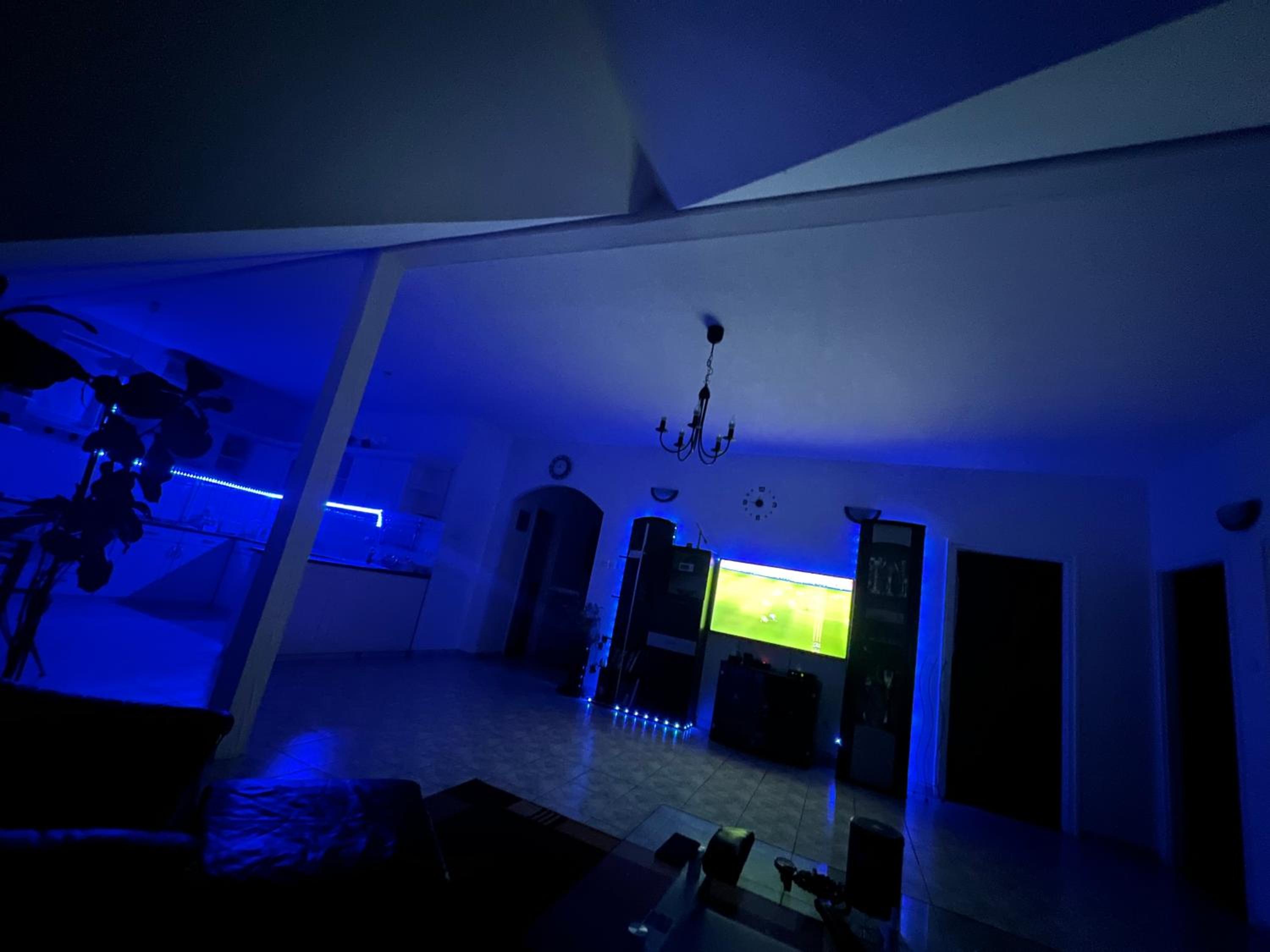 Gabe's Nest view 2