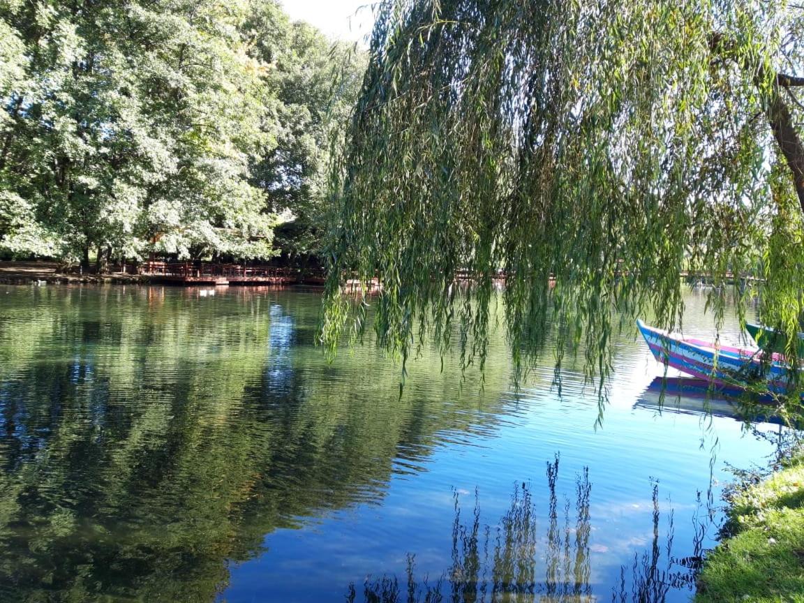 Drilon Luxury Apartment photo 2