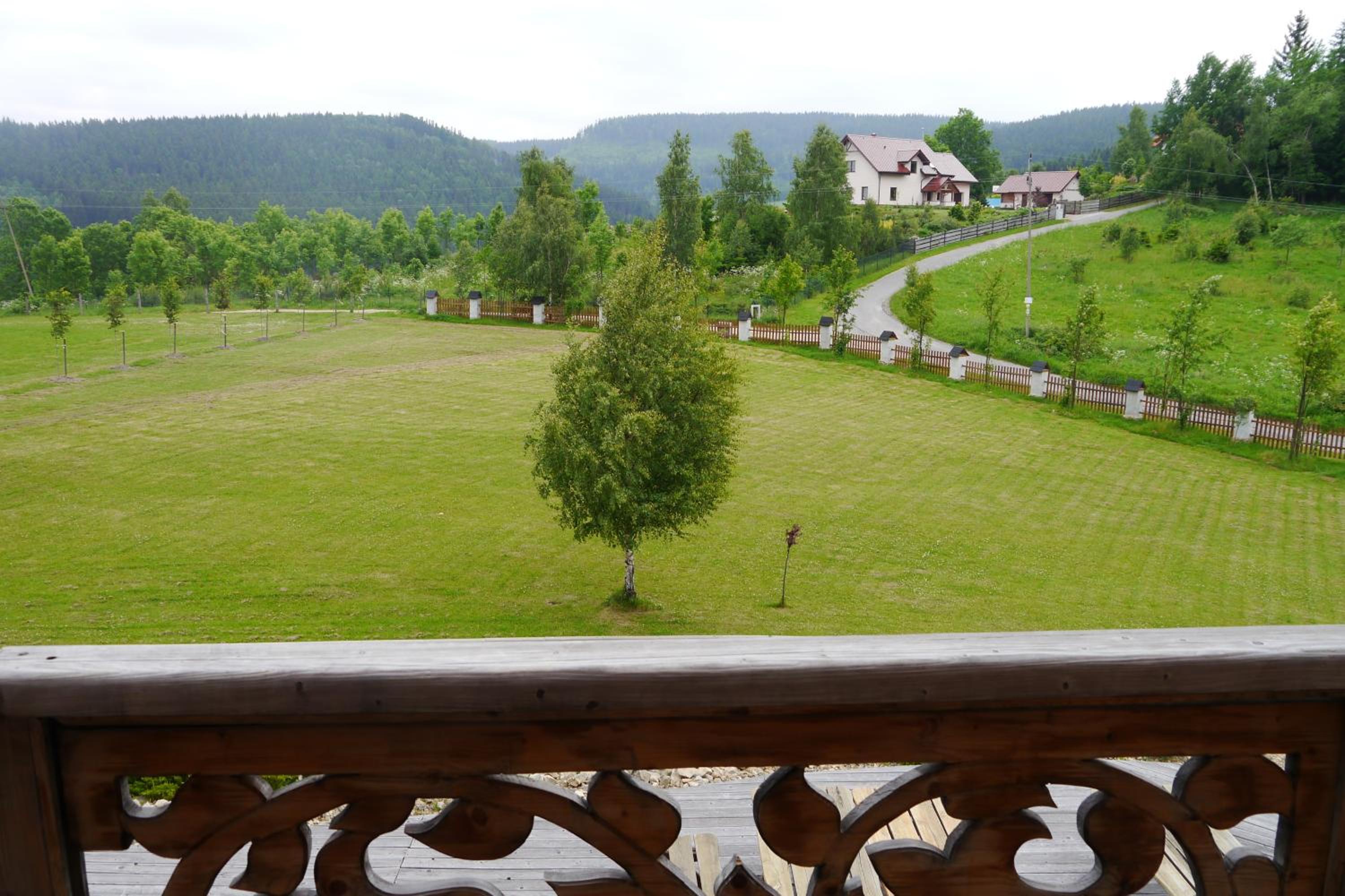 Photo 42
