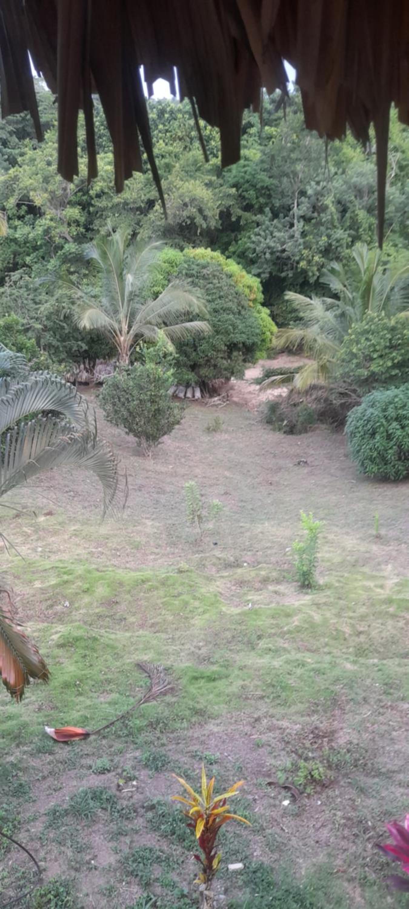 Los Mandainos