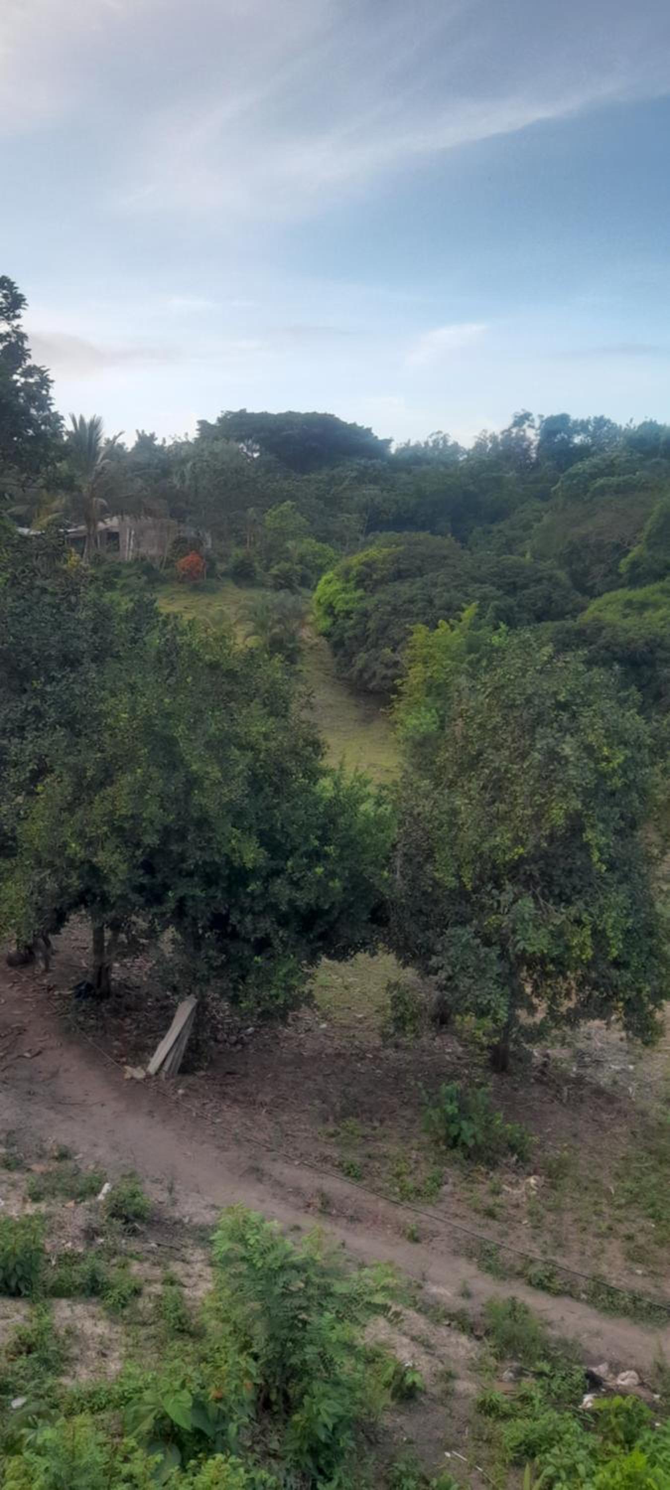 Los Mandainos