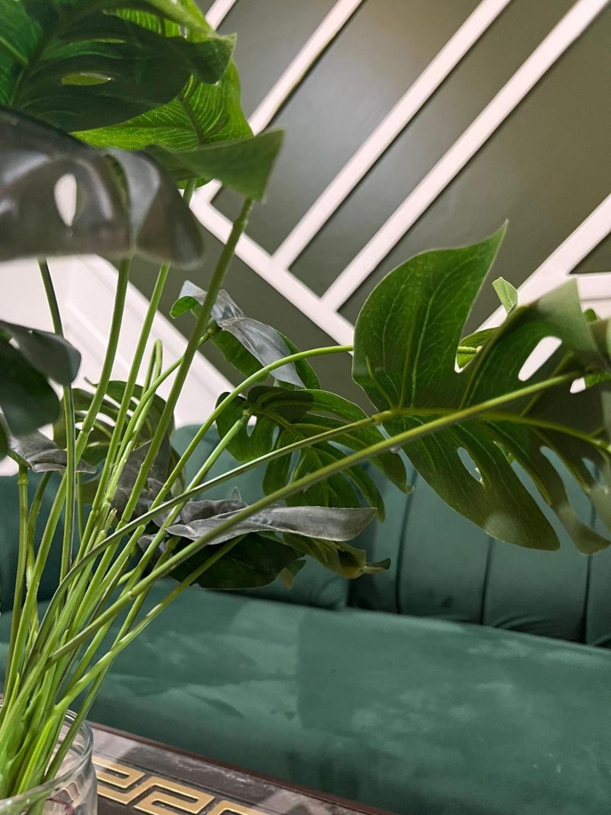 Balcony View- Aesthetic Two bedroom Apartment view 4