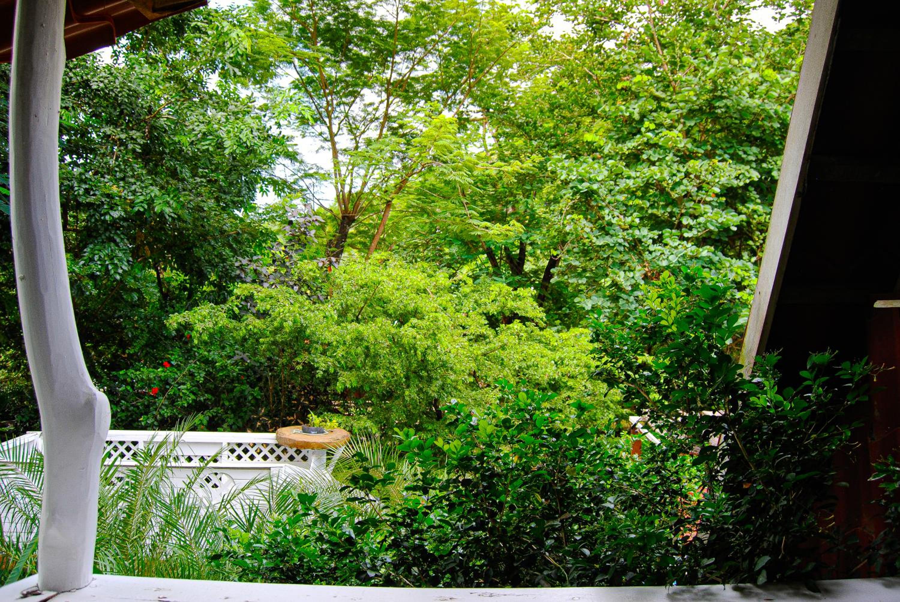 Hacienda Sarah