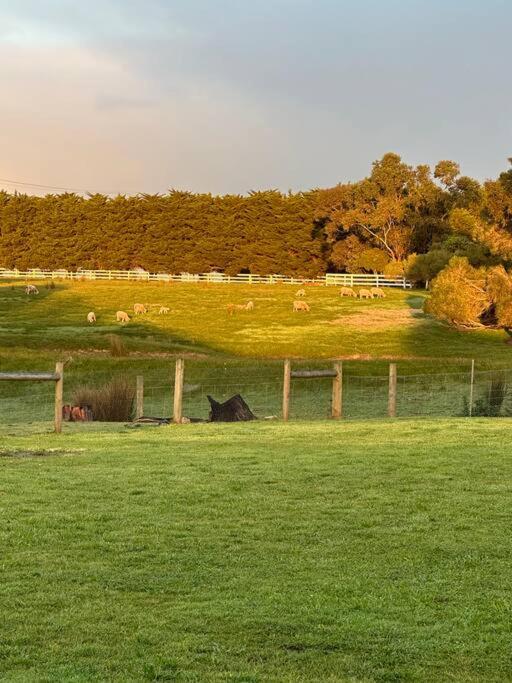 Farm Stay in stunning new home