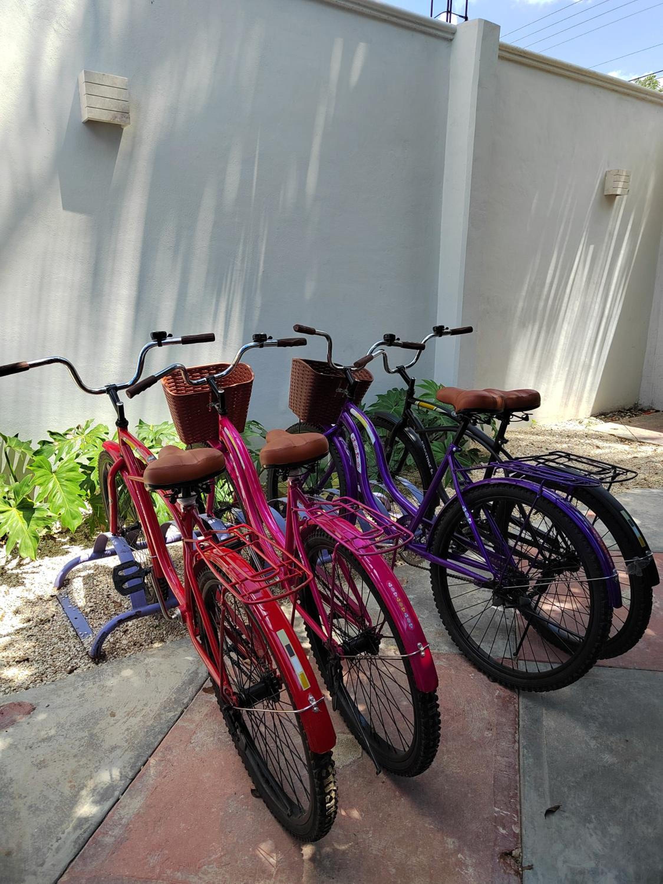 activities & amenities