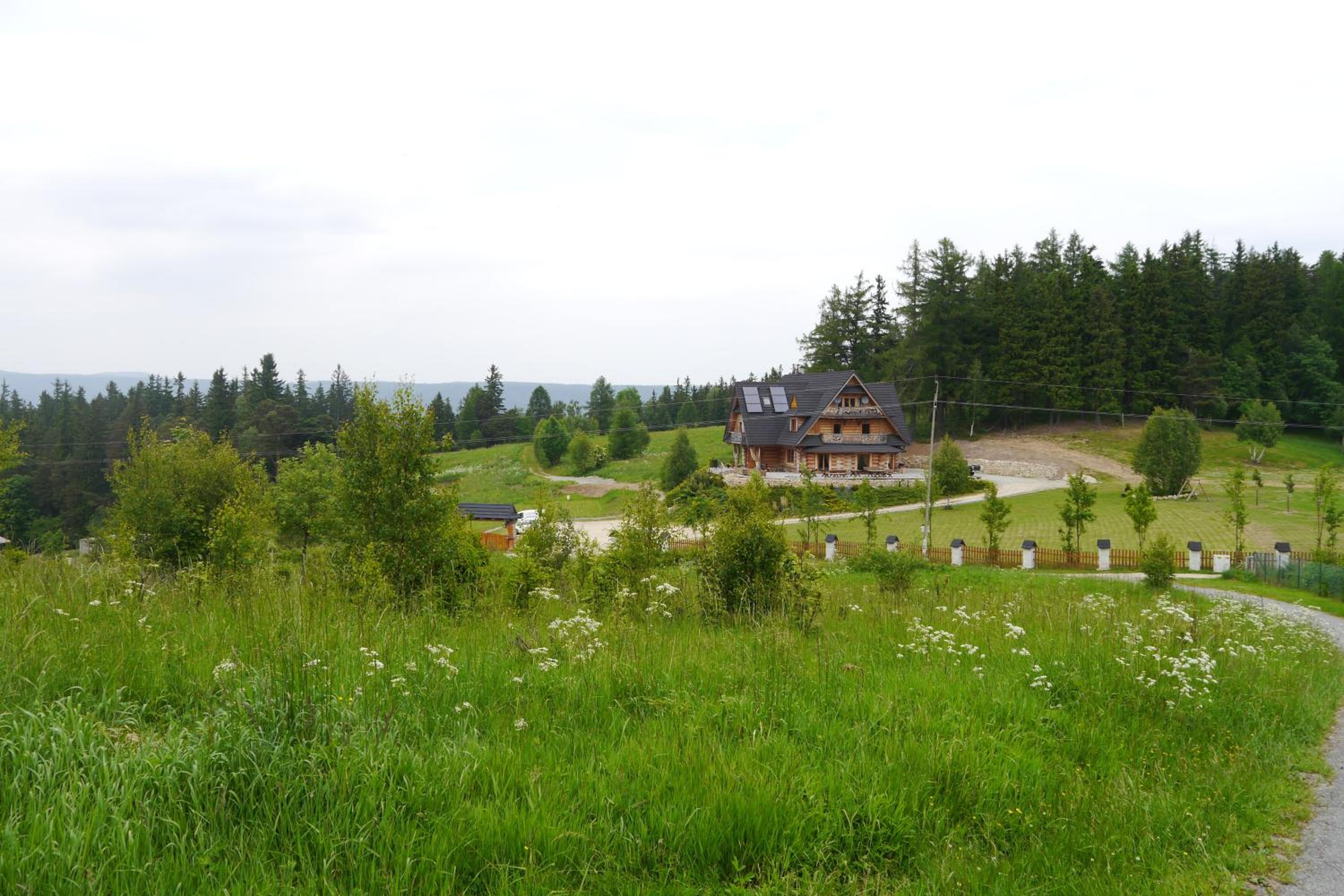 Photo 49