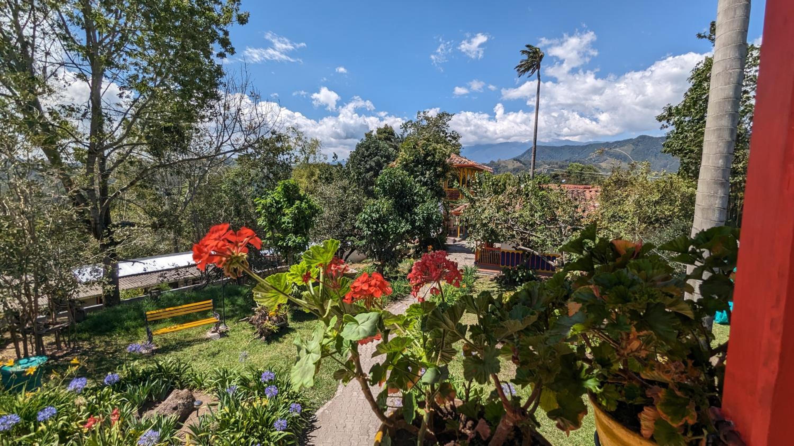 Coronel's Peak Coffee House