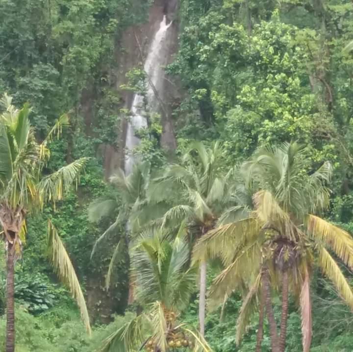Berkey's Jungle Paradise Resort