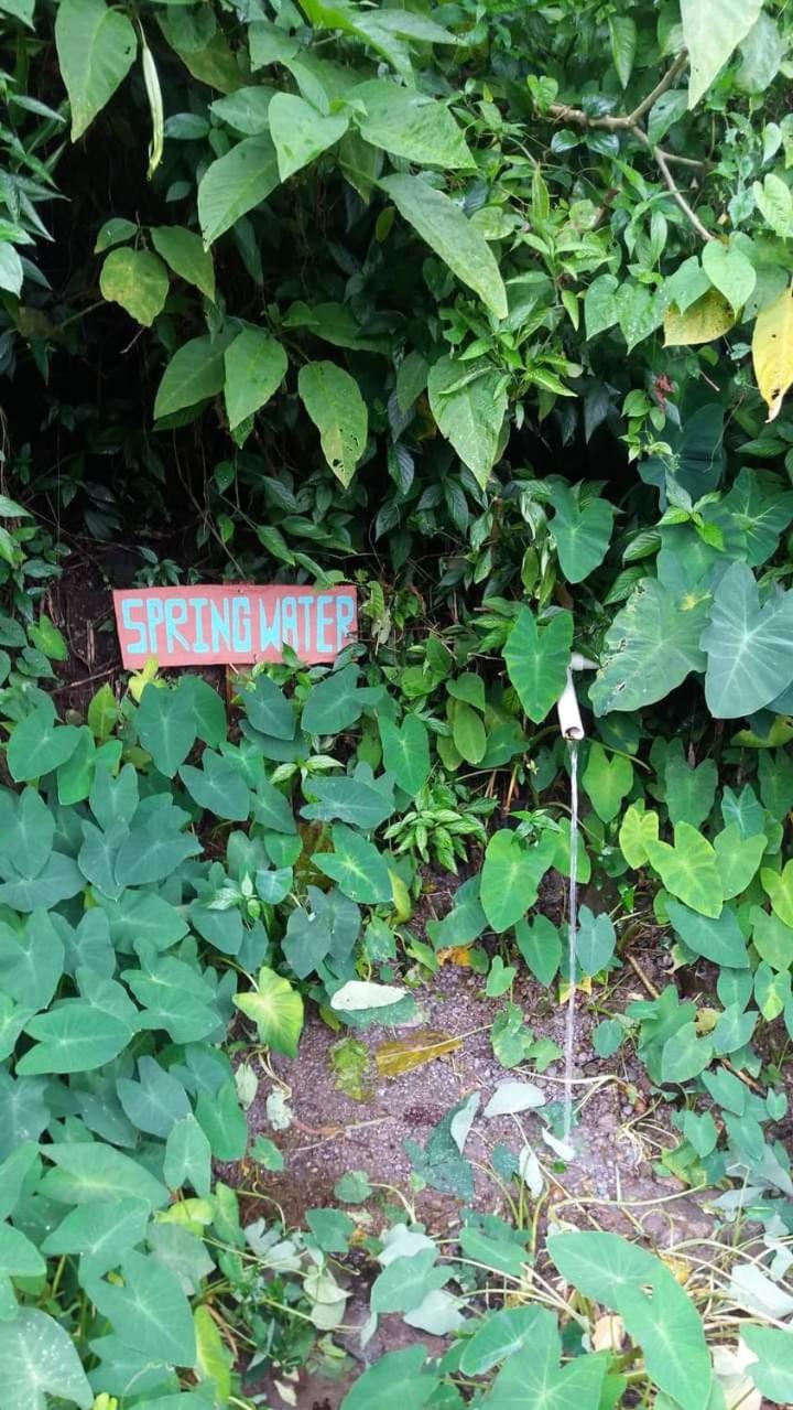 Berkey's Jungle Paradise Resort
