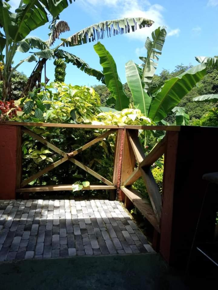 Berkey's Jungle Paradise Resort