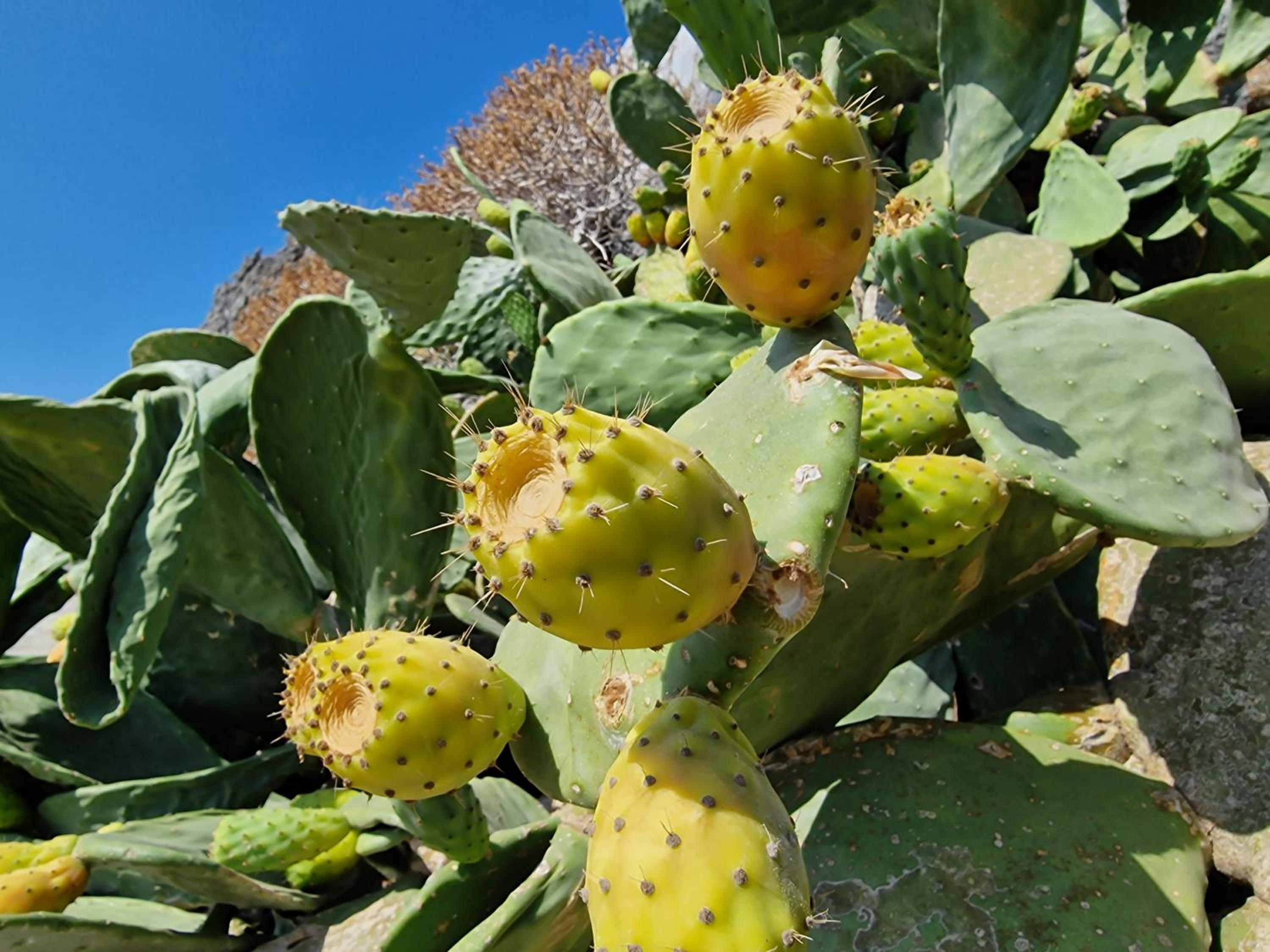 Photo 92