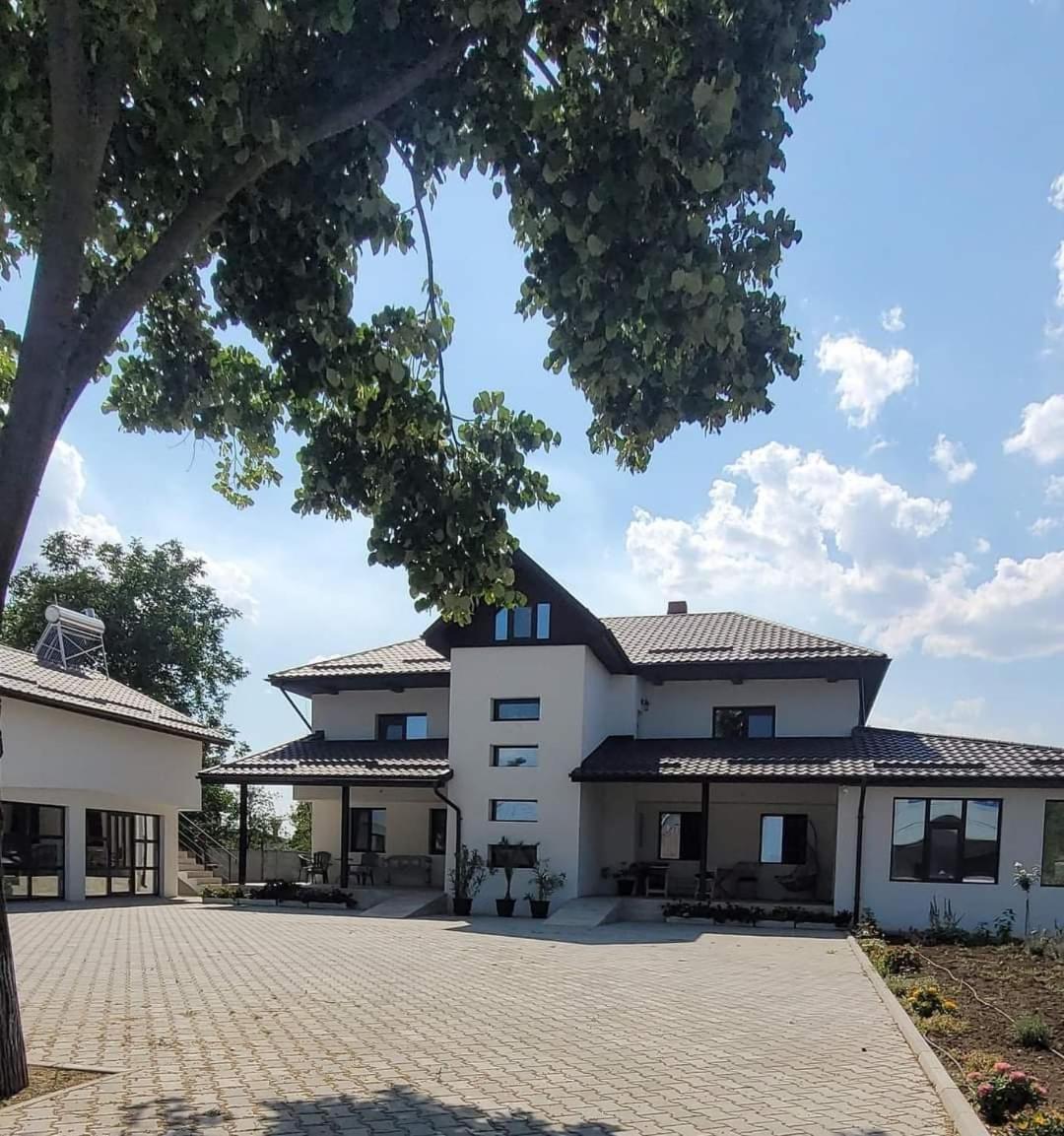 Casa Domnească