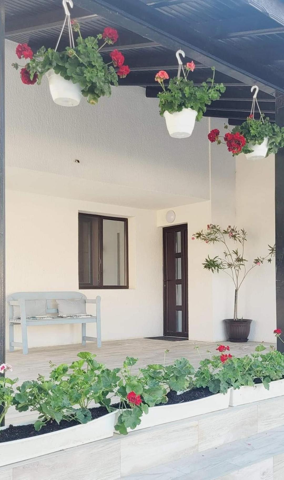 Casa Domnească