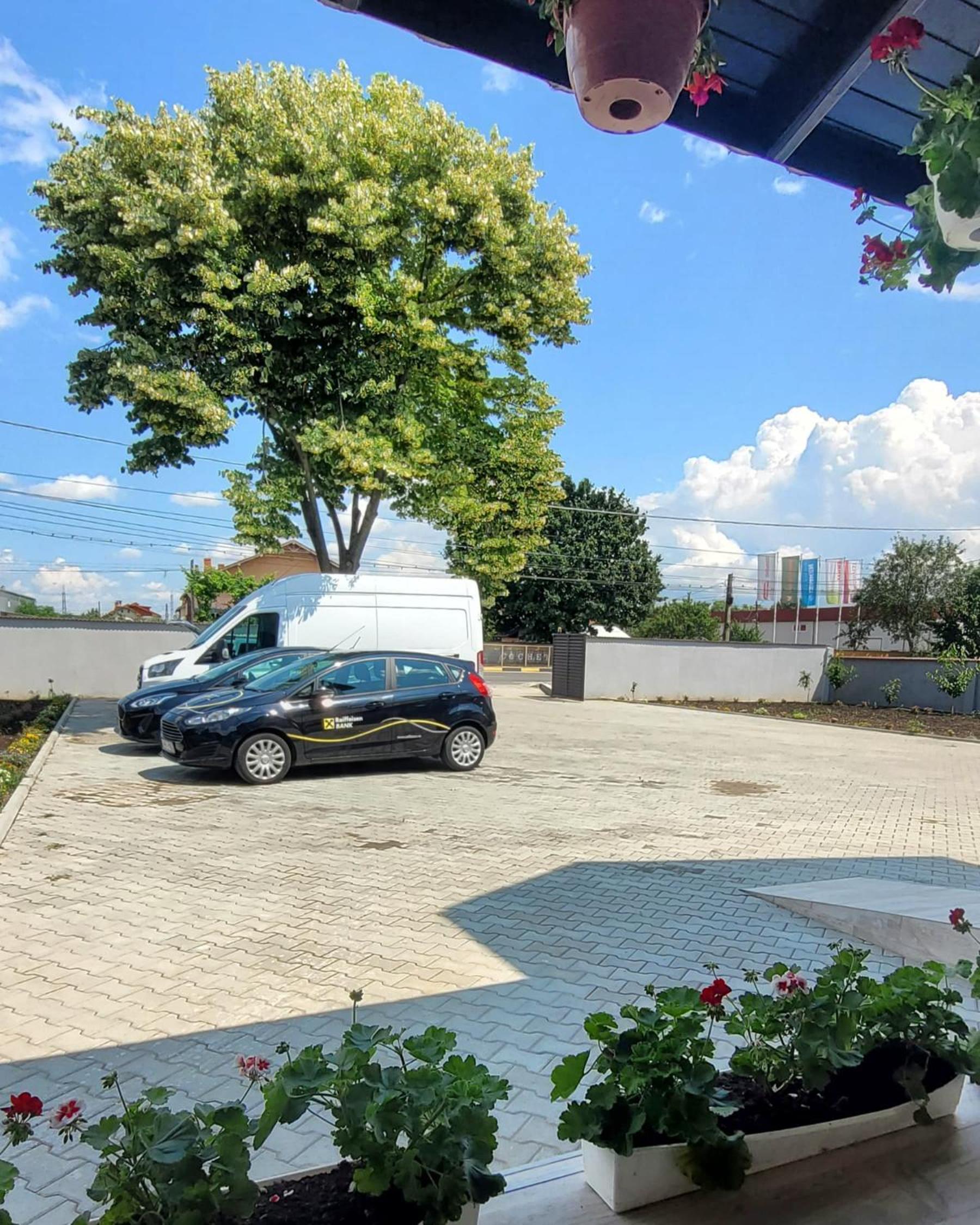 Casa Domnească