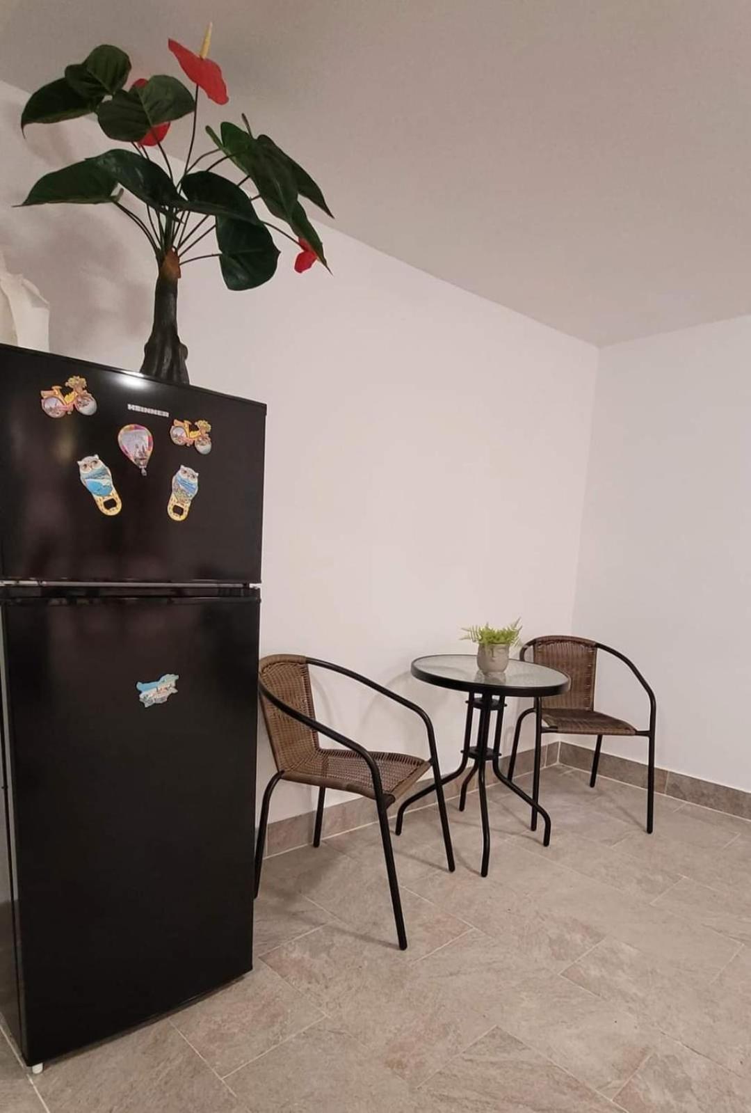 Casa Domnească