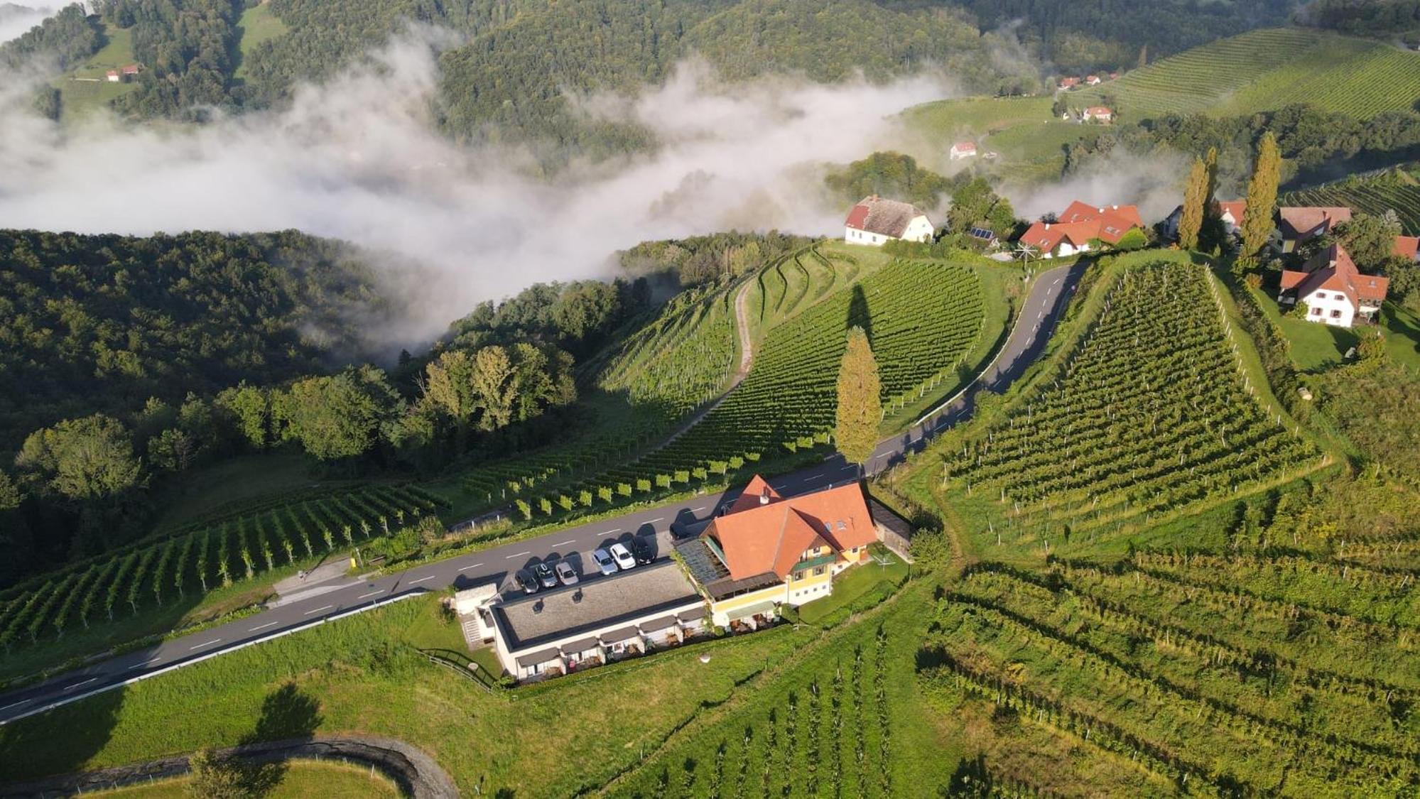 Wohlmuth-Lückl view 4