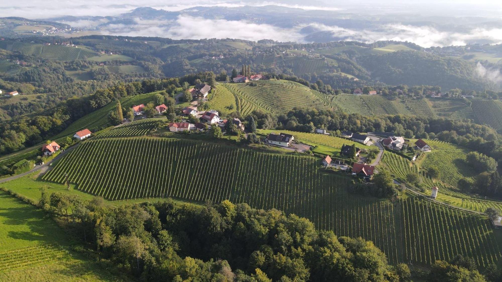 Wohlmuth-Lückl view 3
