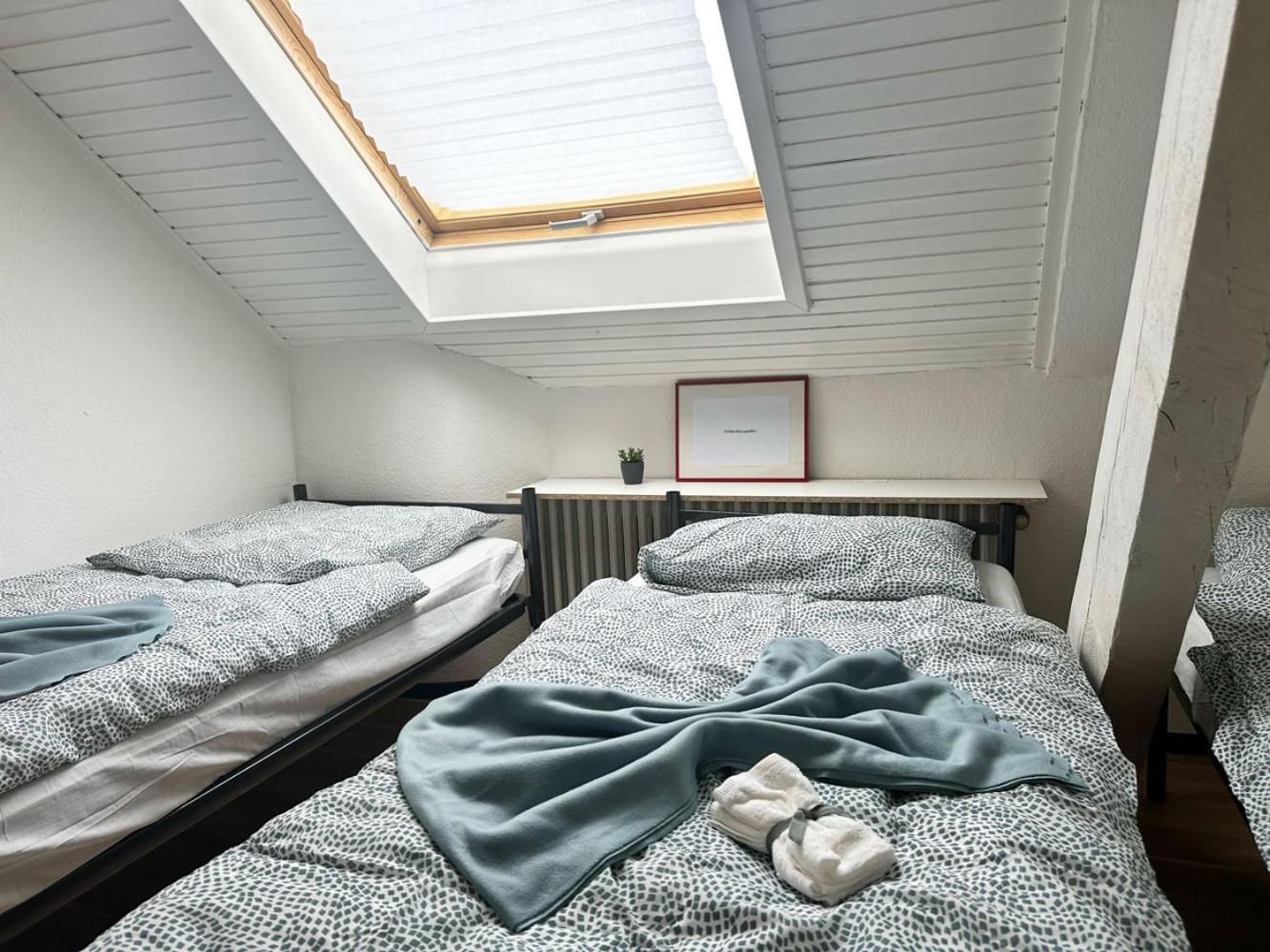 Spacious & Cozy Apartments
