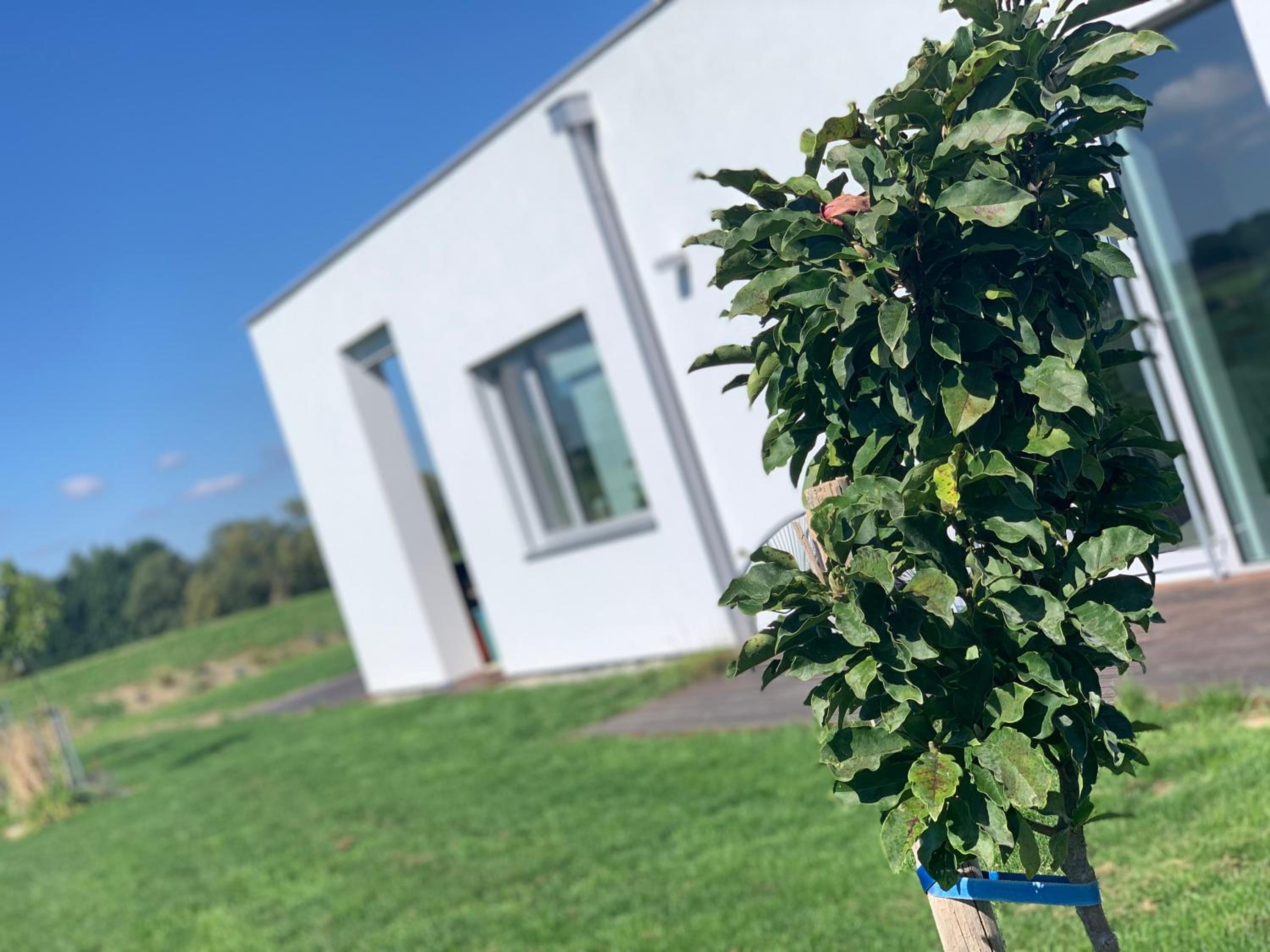 AirbnbTřeboň - modern apartment