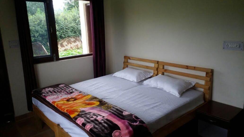 Yog Homestay view 2