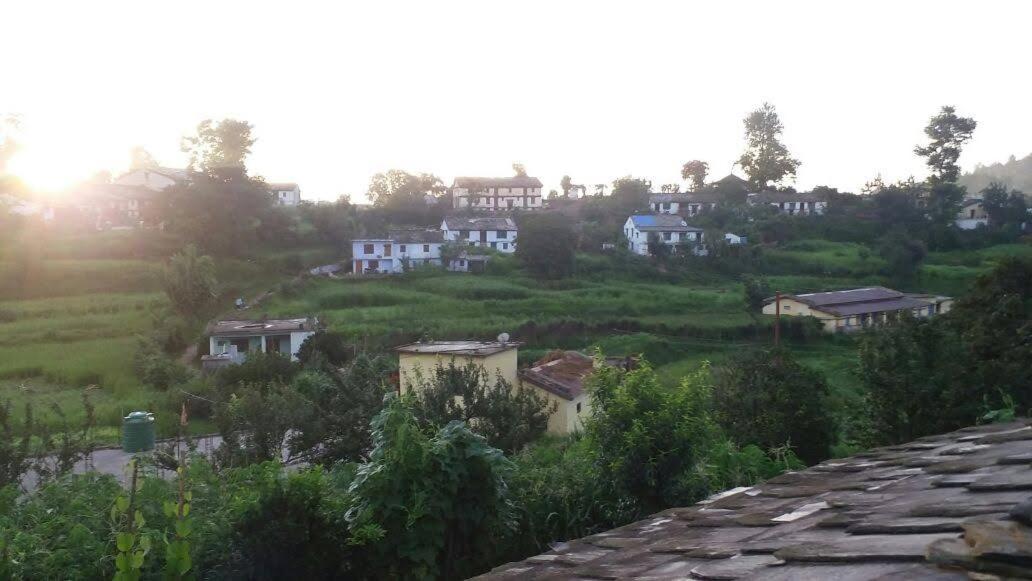 Yog Homestay view 5