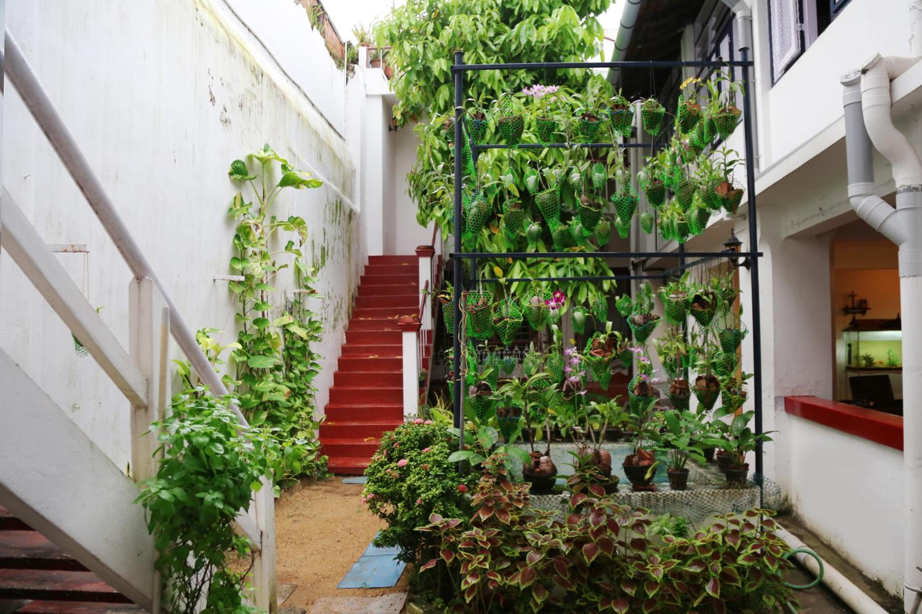 Walton's Homestay, Fort Cochin view 2