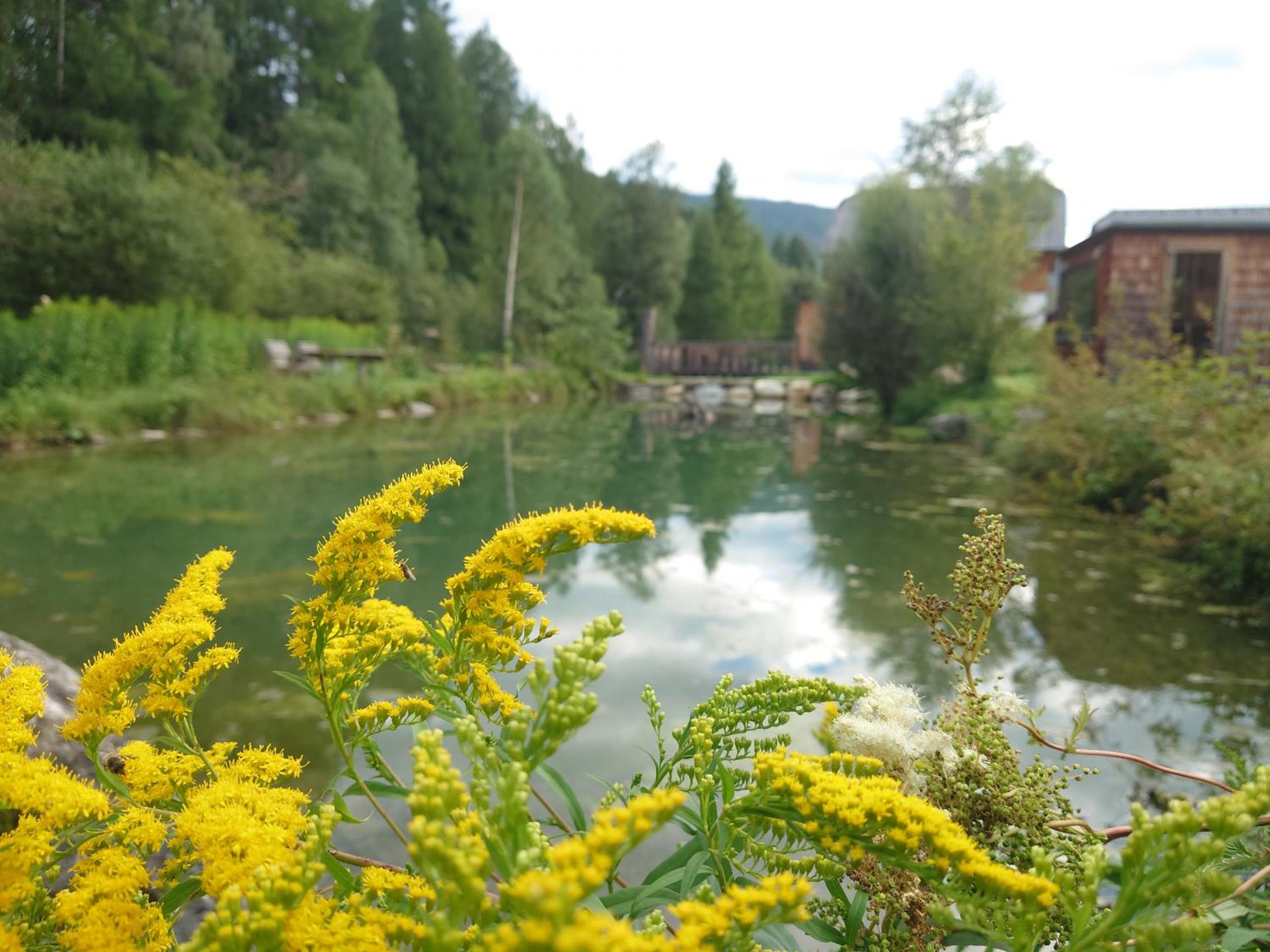 Apartment Samspitze