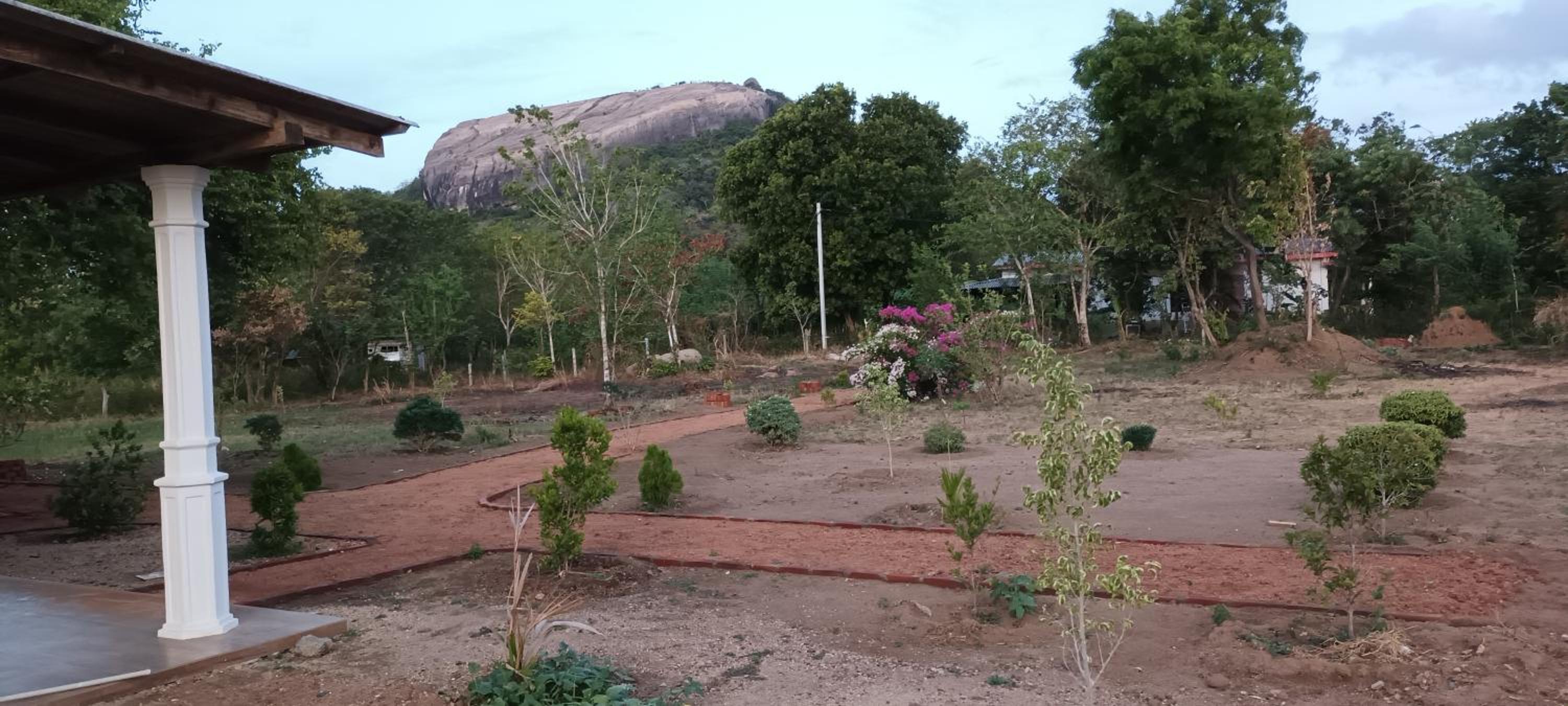 Sigiri Arana Sigiriya