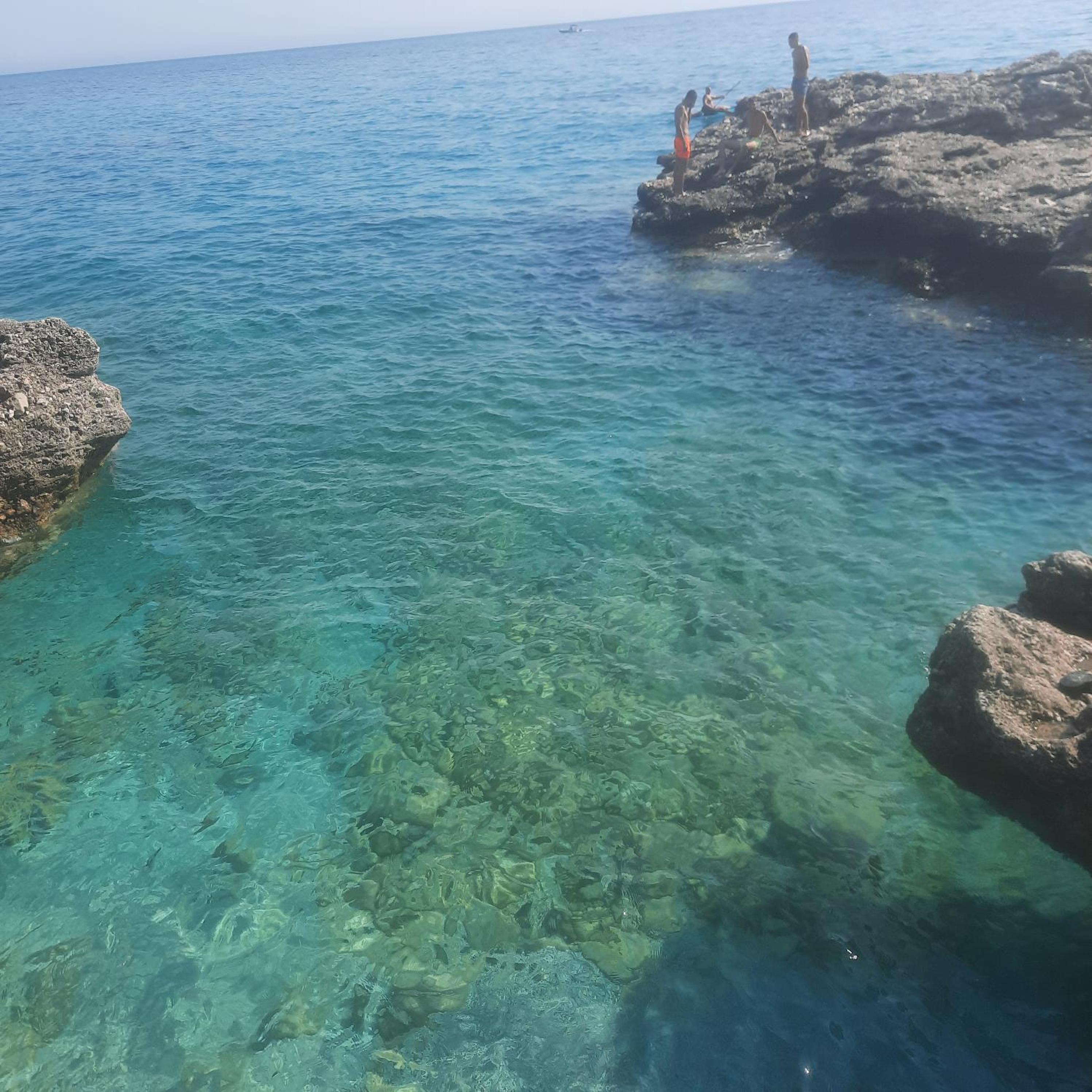 Amet moraci